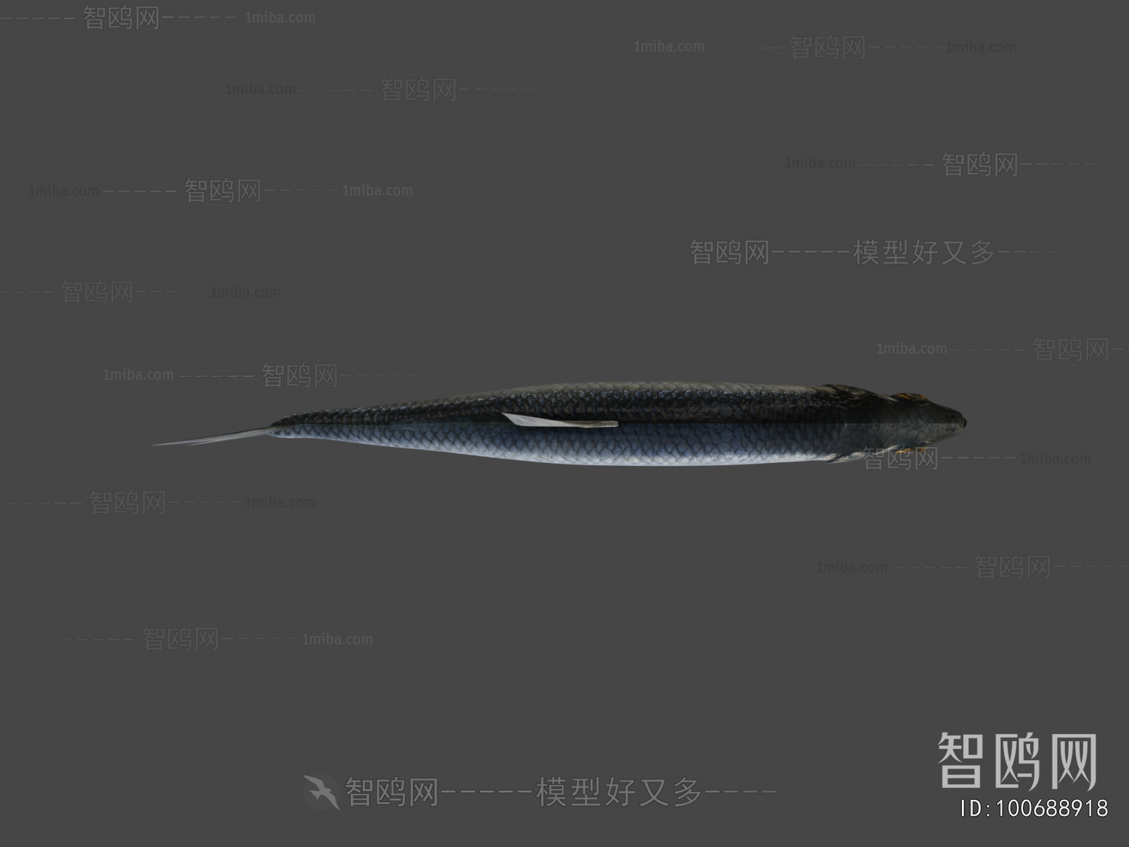 Modern Aquatic Animals