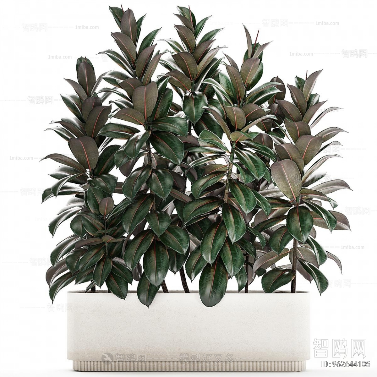 Modern Potted Green Plant