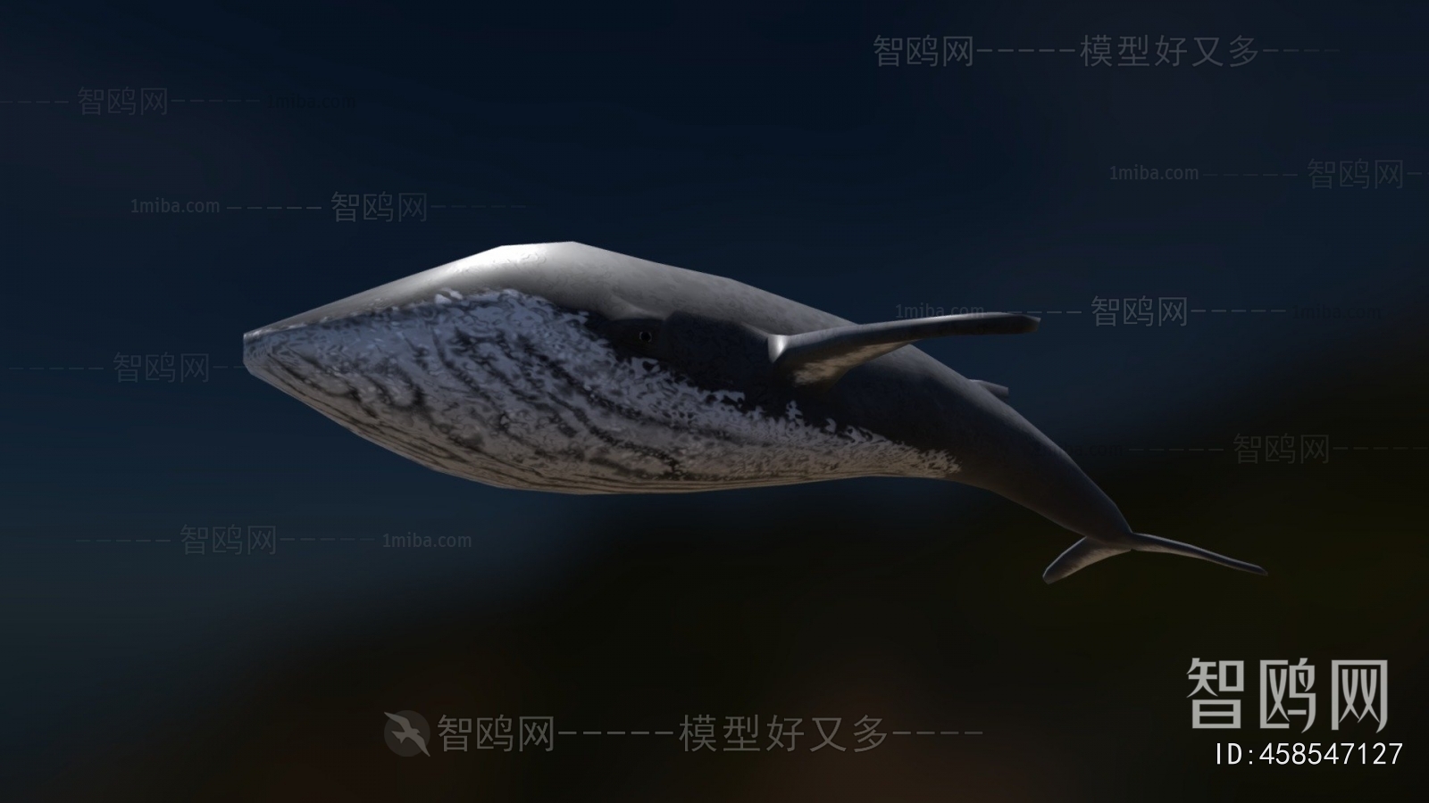 Modern Aquatic Animals