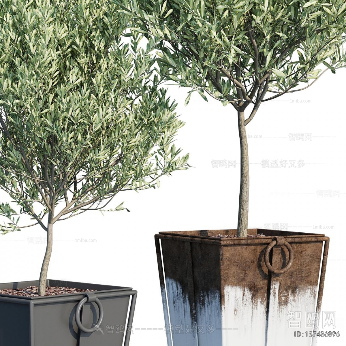 Modern Potted Green Plant