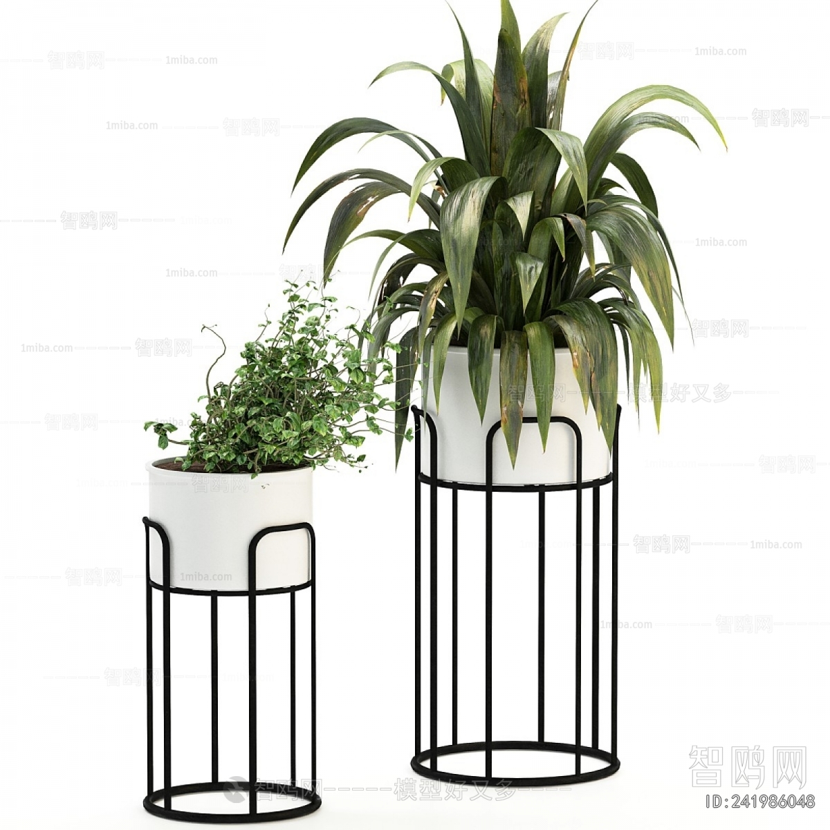 Modern Potted Green Plant