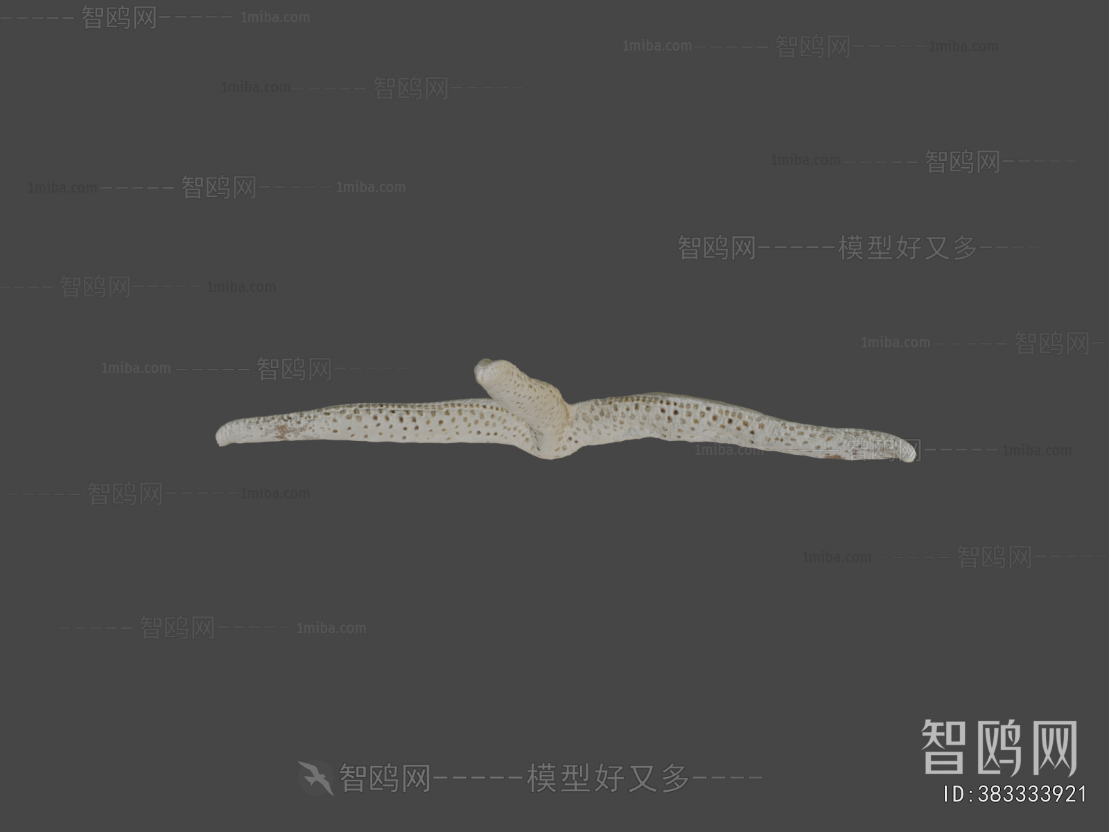 Modern Aquatic Animals