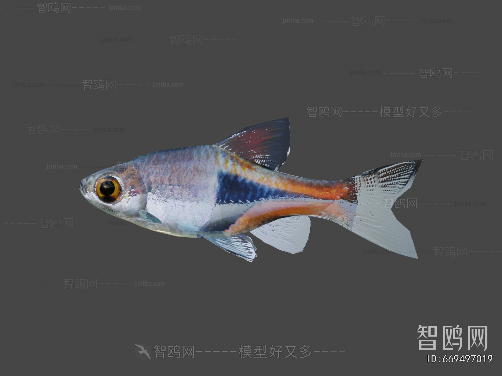 Modern Aquatic Animals