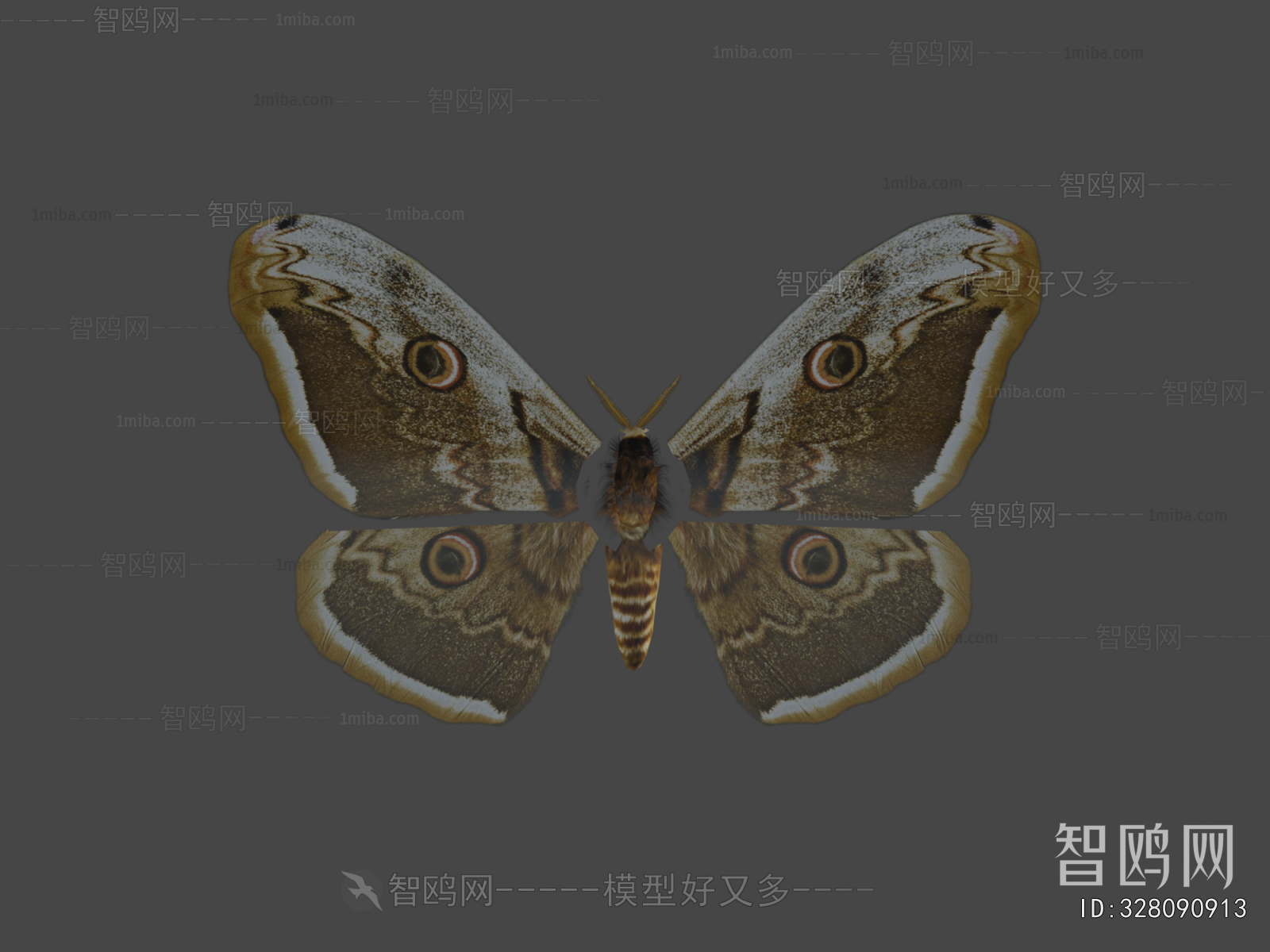 Modern Flying Animals