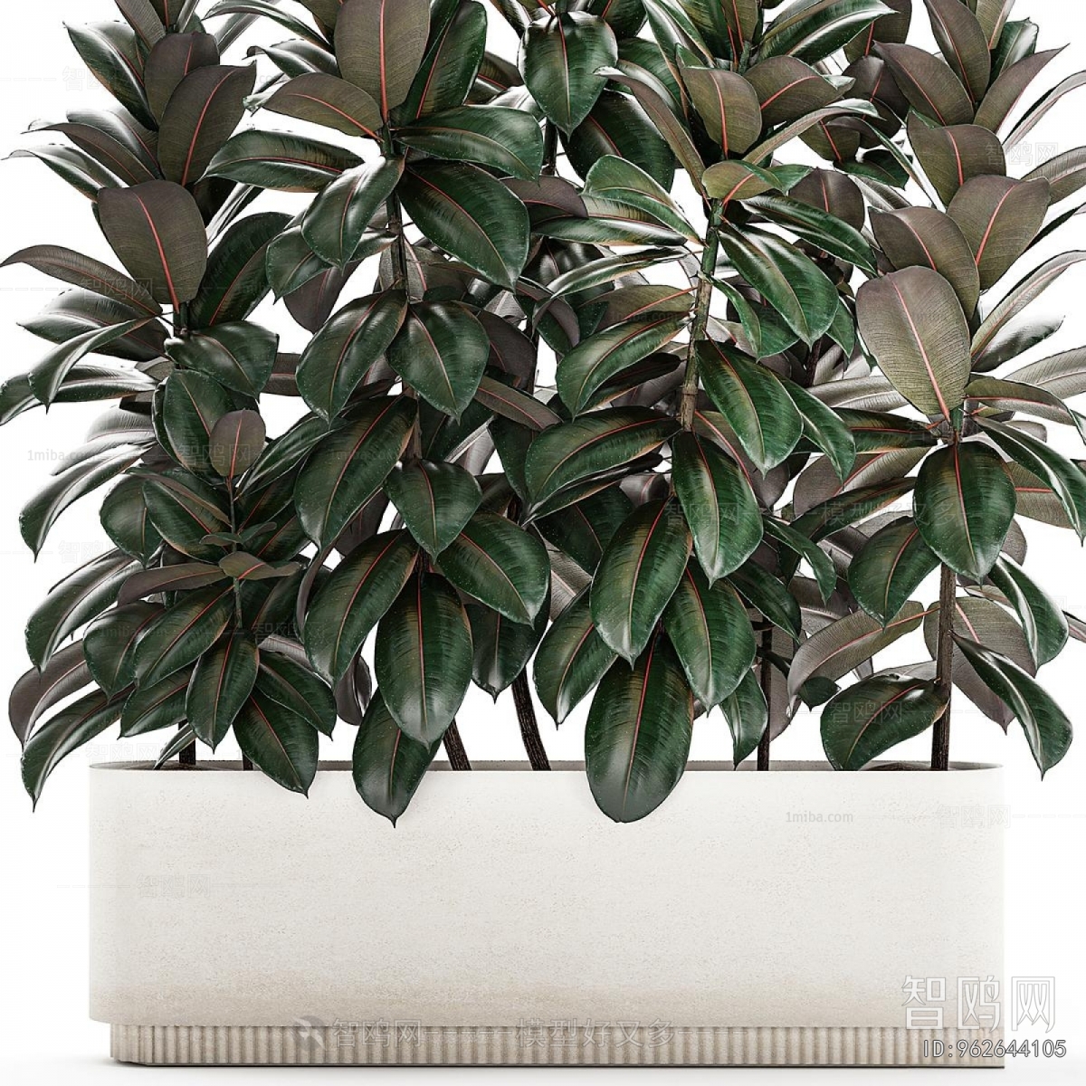 Modern Potted Green Plant
