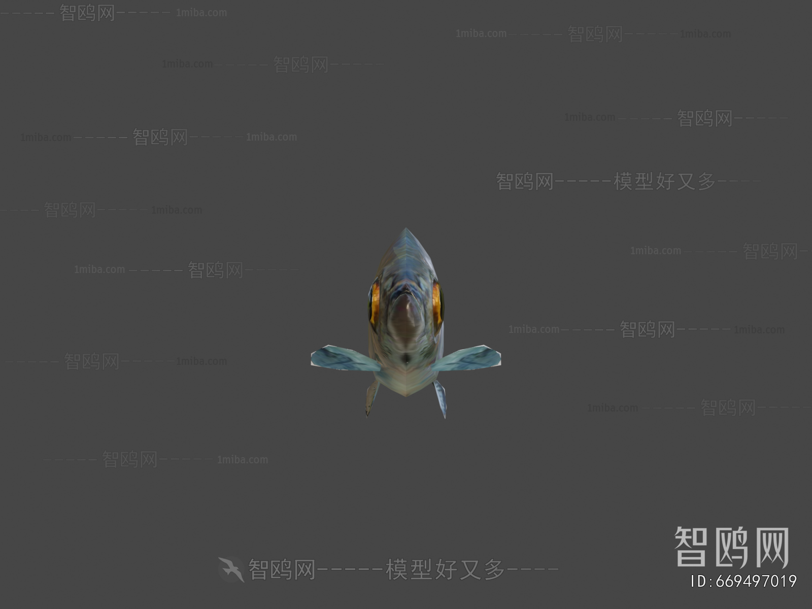 Modern Aquatic Animals