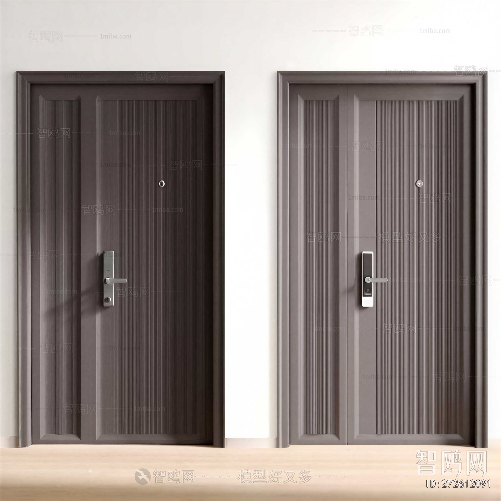 Modern Entrance Door