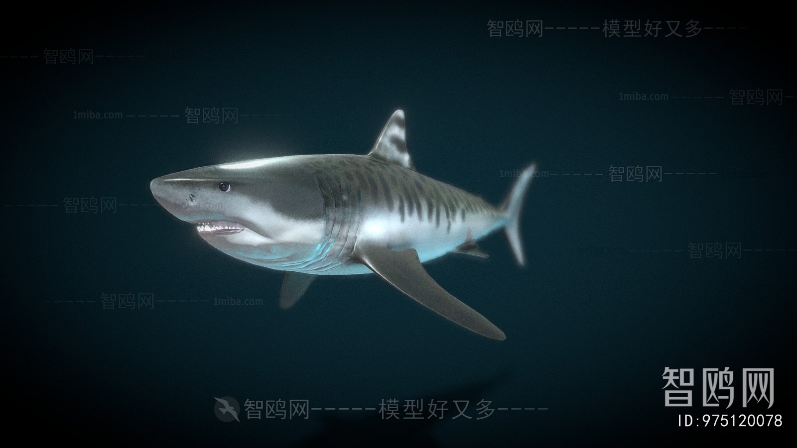 Modern Aquatic Animals