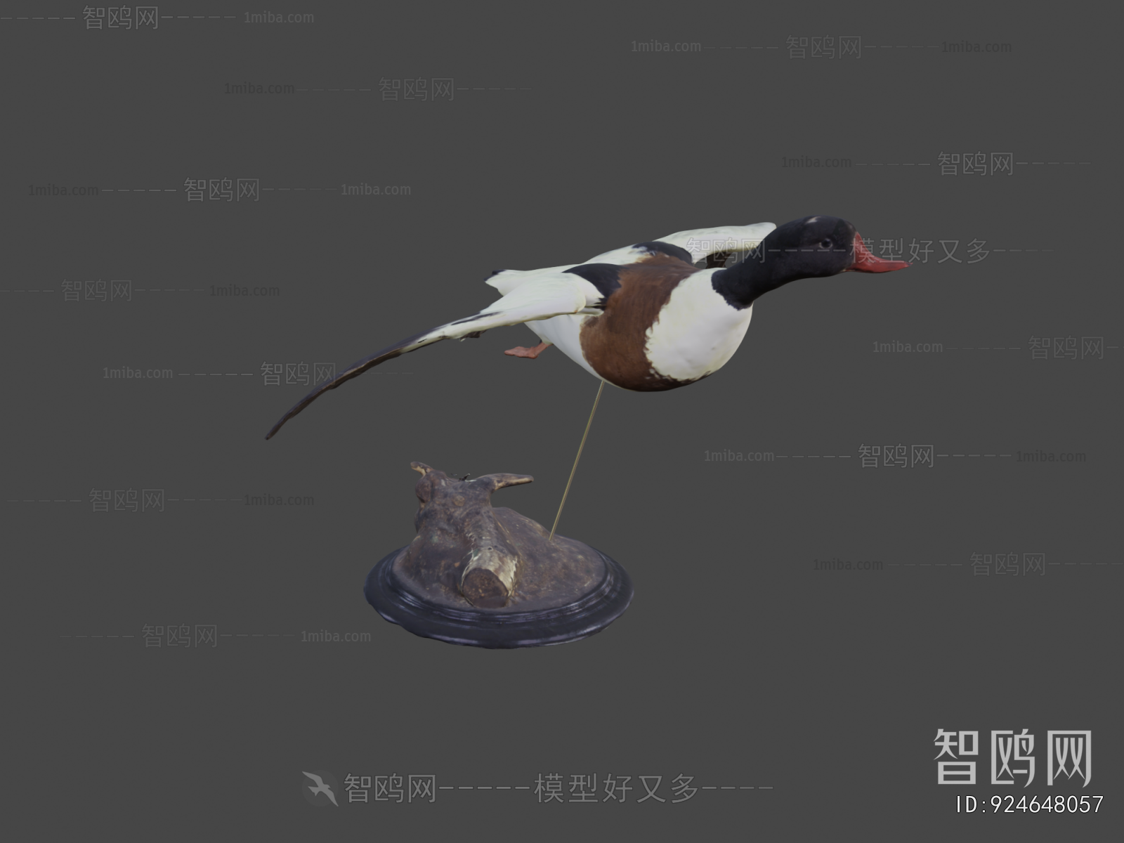 Modern Flying Animals