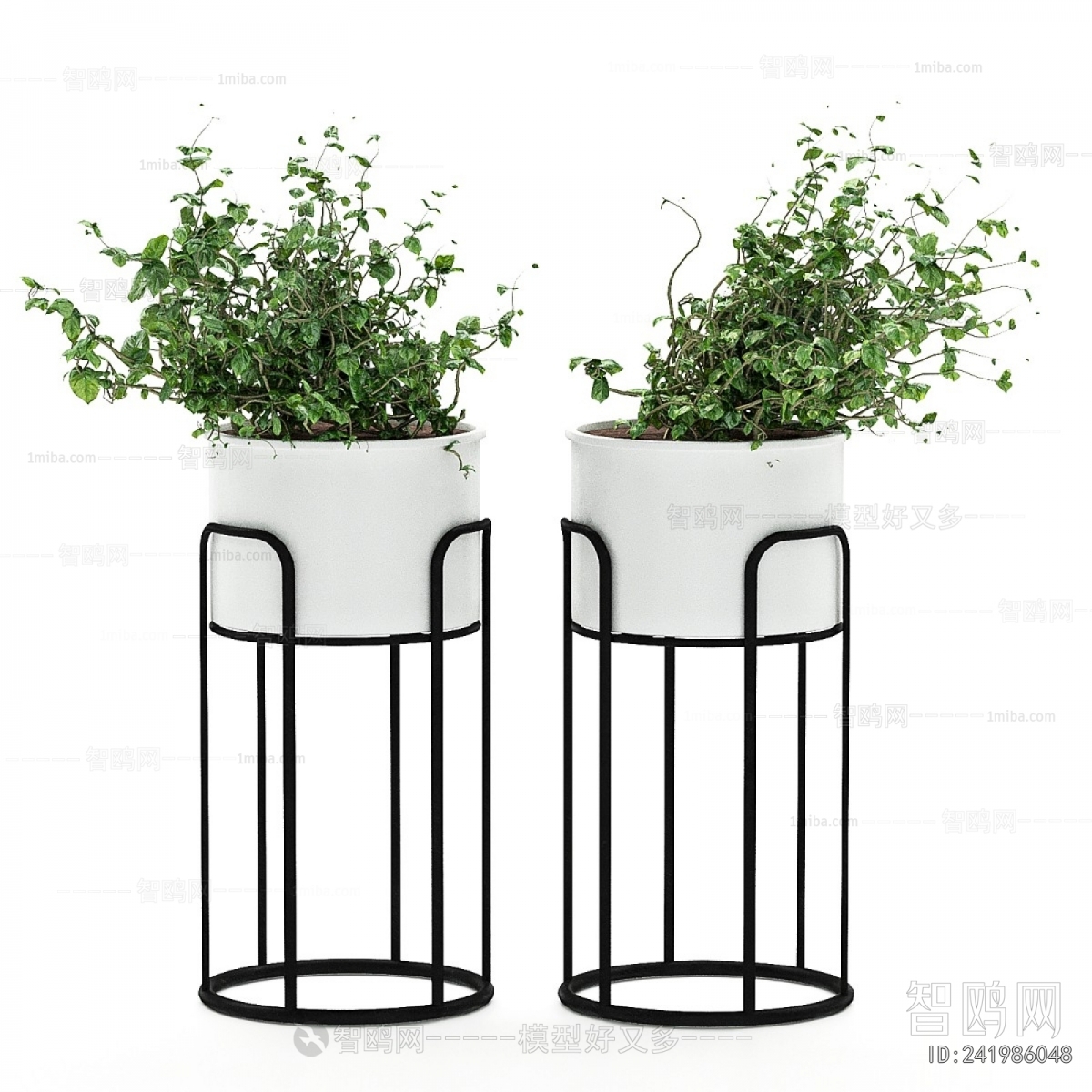 Modern Potted Green Plant