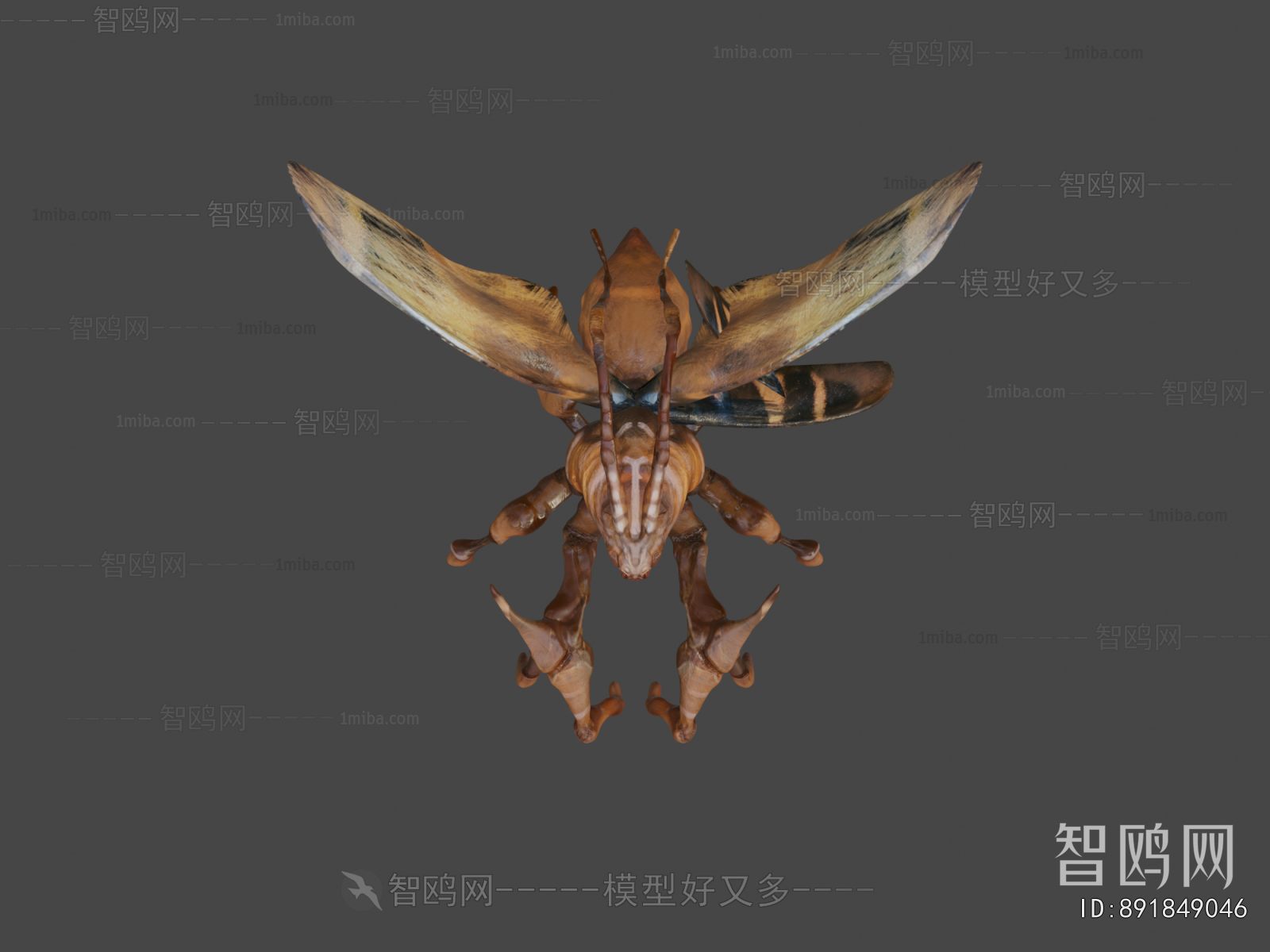 Modern Flying Animals