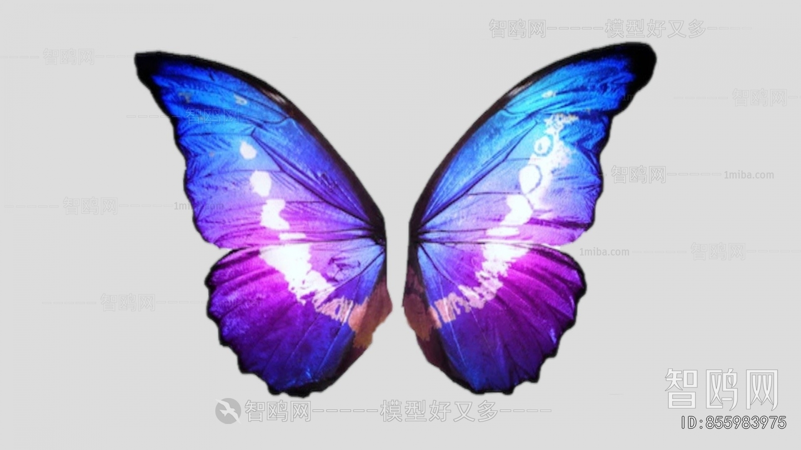 Modern Flying Animals