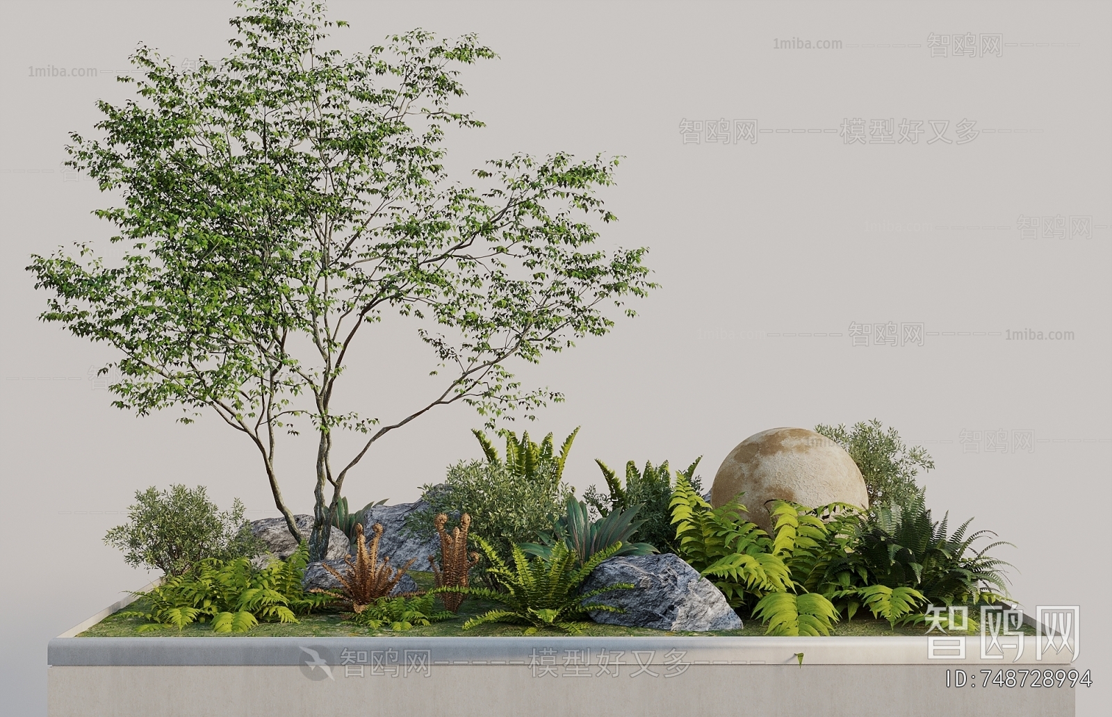 Modern Plant Landscaping