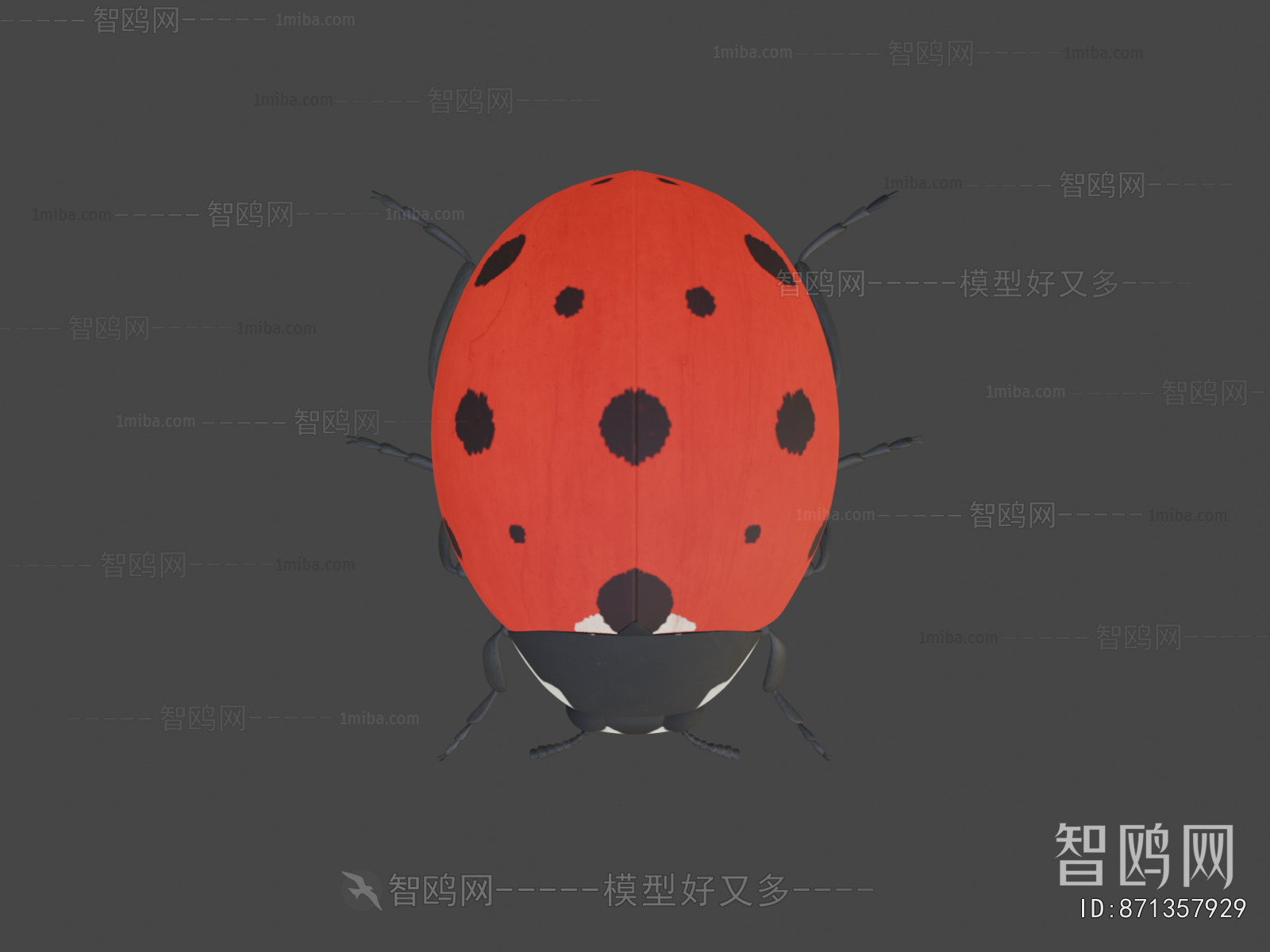 Modern Flying Animals