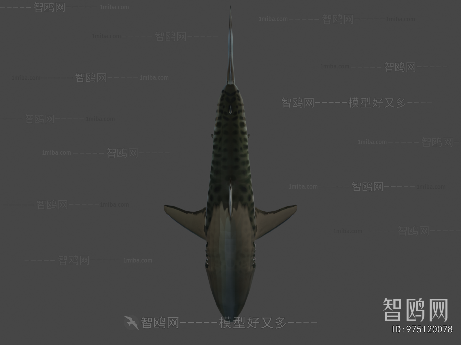 Modern Aquatic Animals