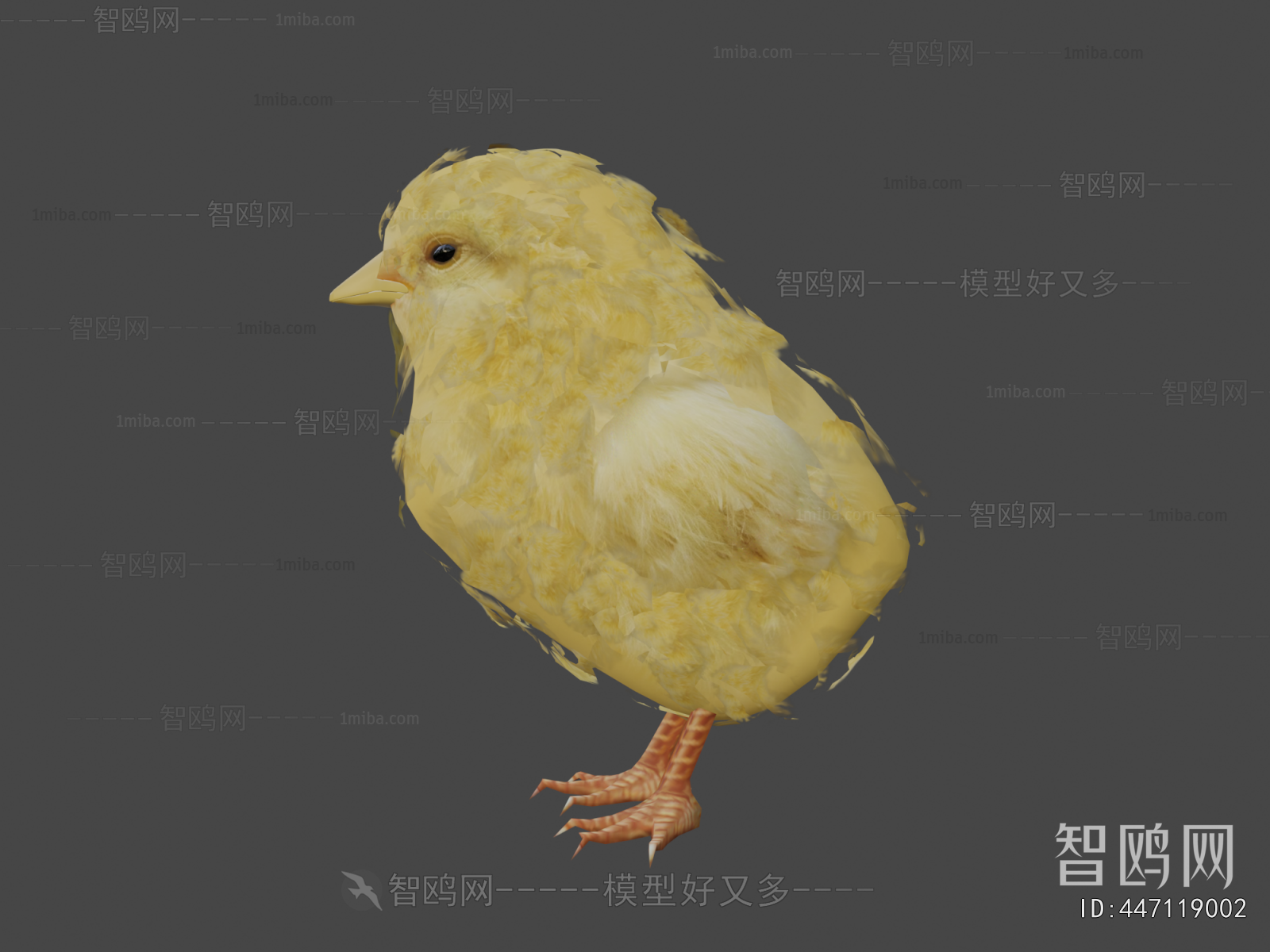 Modern Poultry Animal