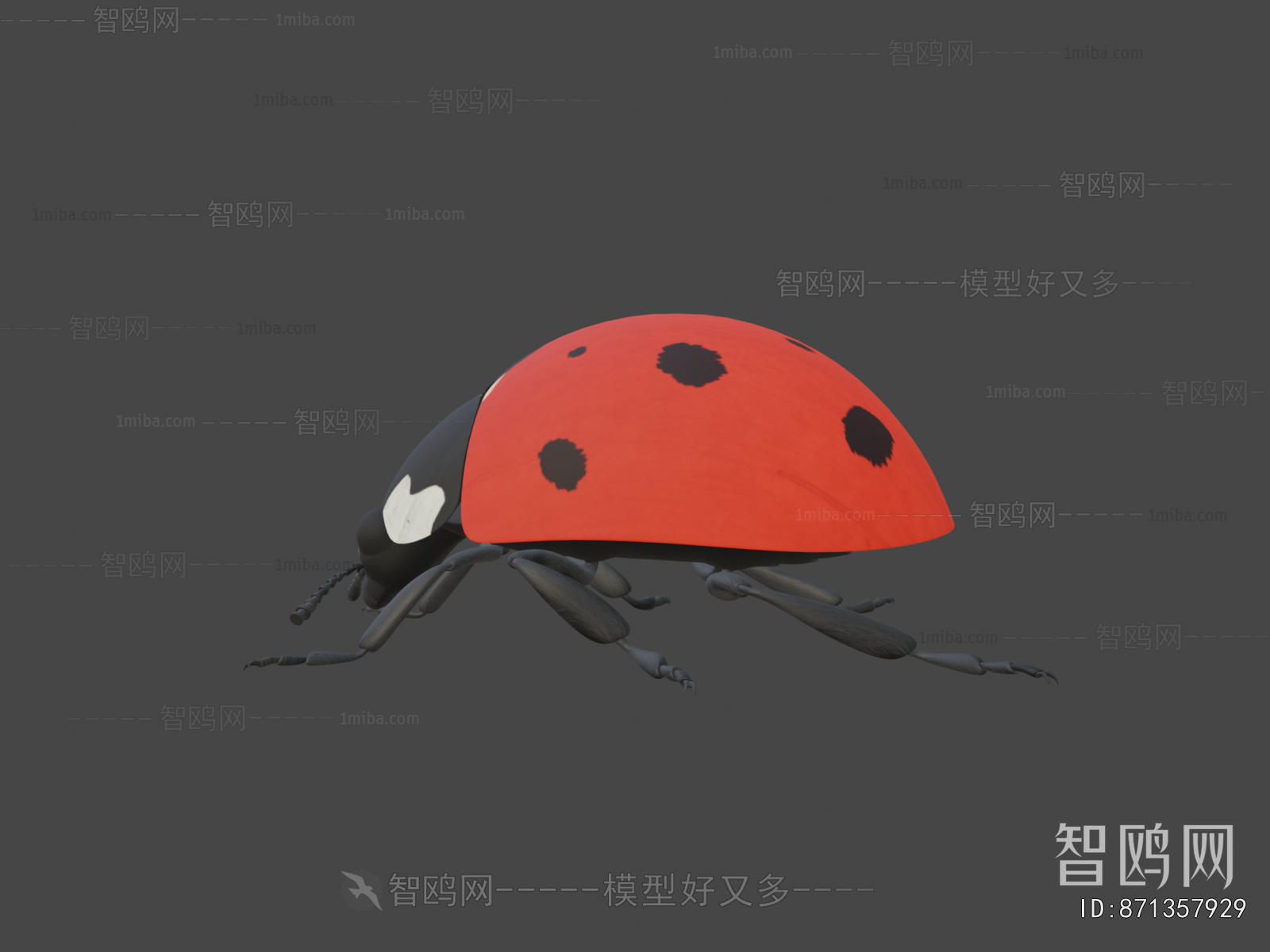 Modern Flying Animals