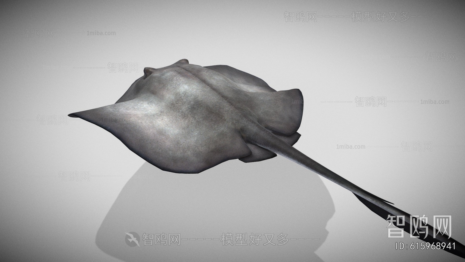 Modern Aquatic Animals