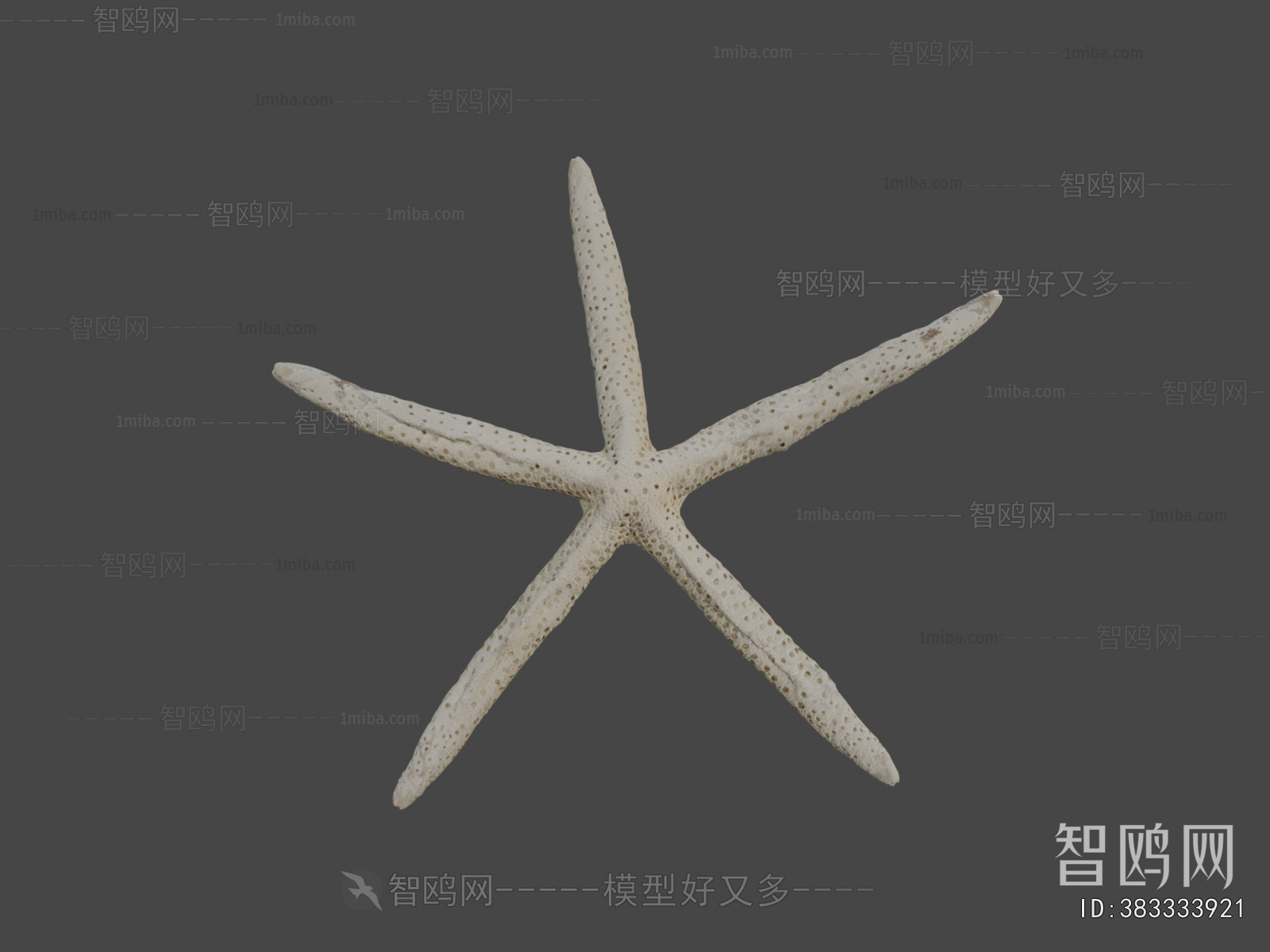 Modern Aquatic Animals