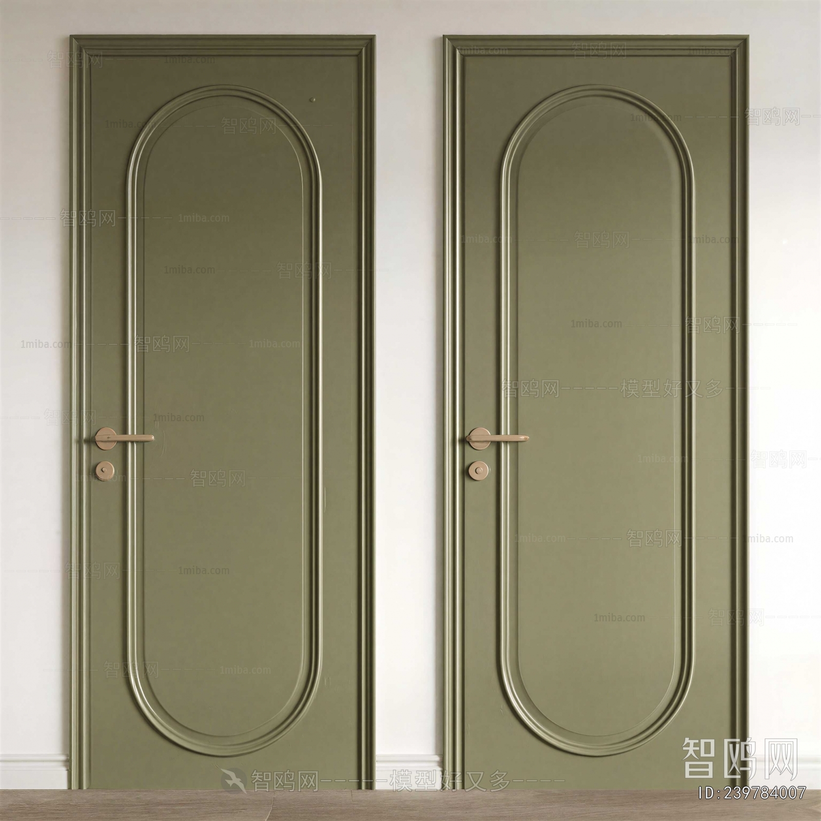 Modern Door