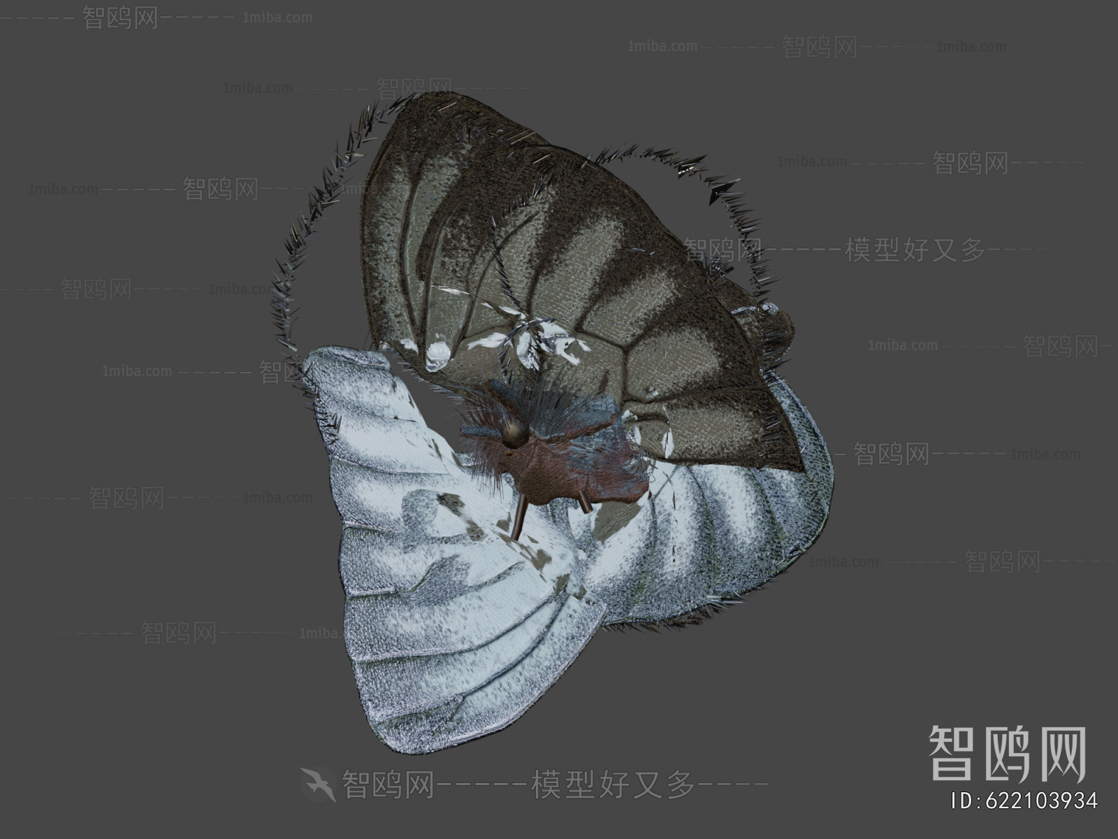 Modern Flying Animals