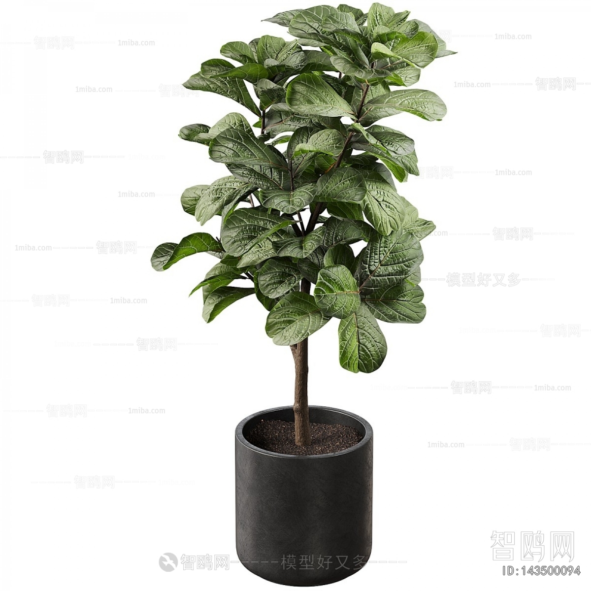 Modern Ground Green Plant Potted Plants