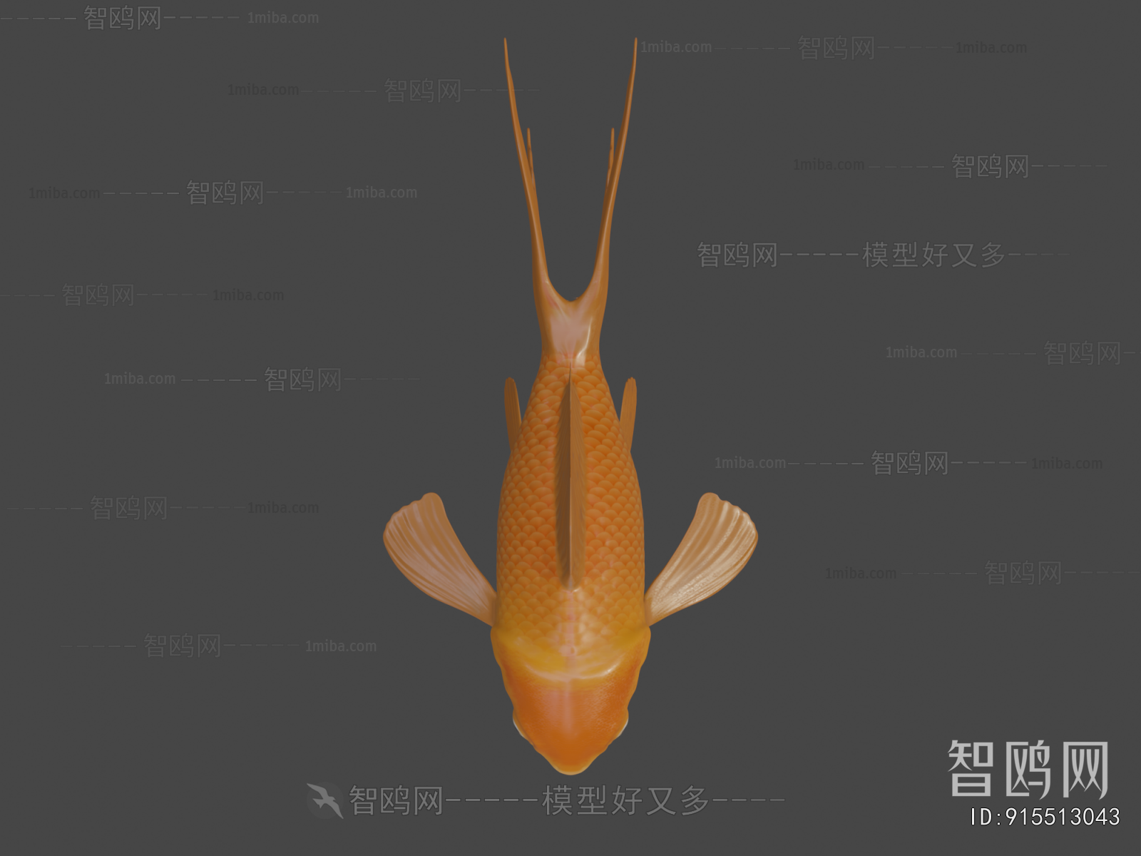 Modern Aquatic Animals