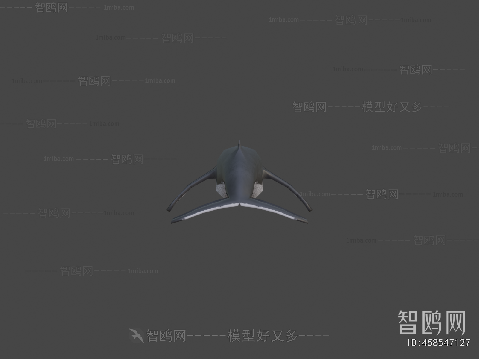 Modern Aquatic Animals