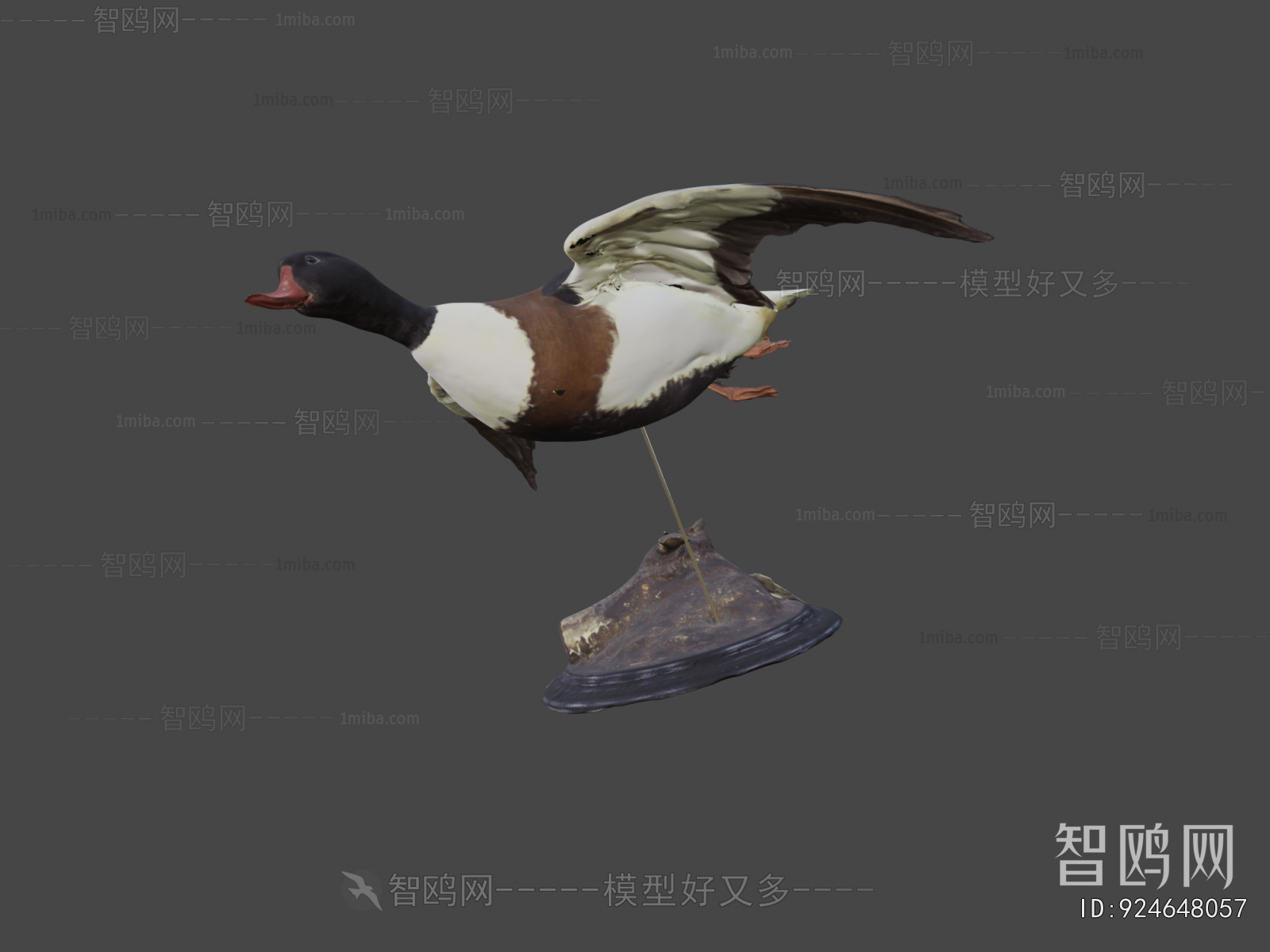 Modern Flying Animals