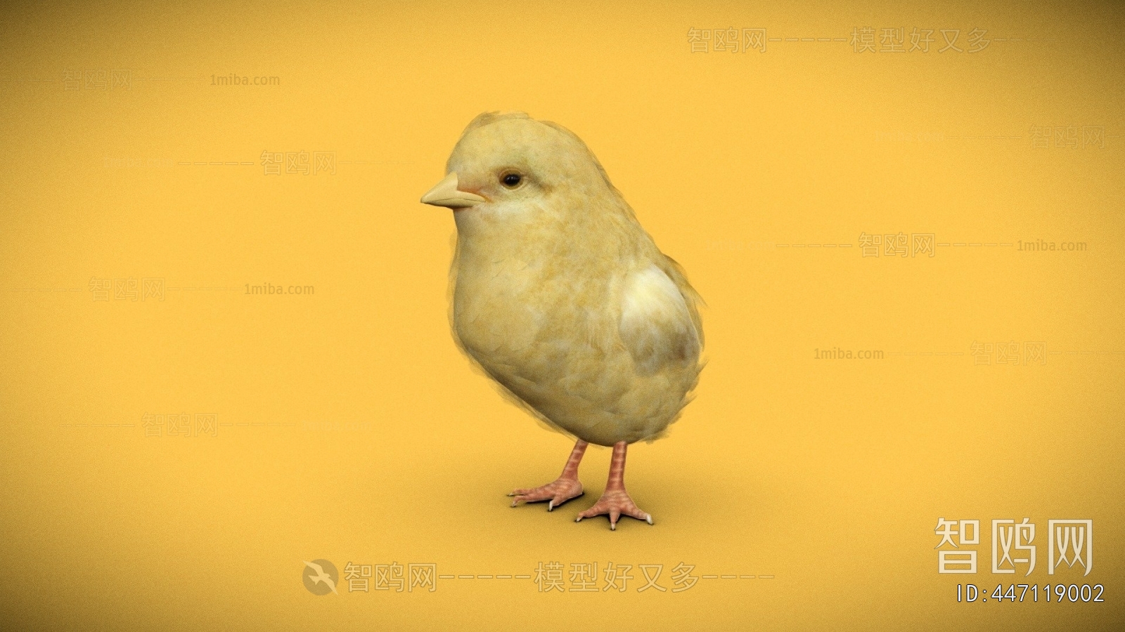 Modern Poultry Animal