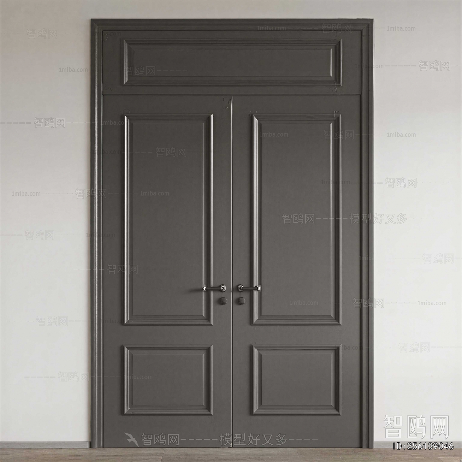 Modern Door