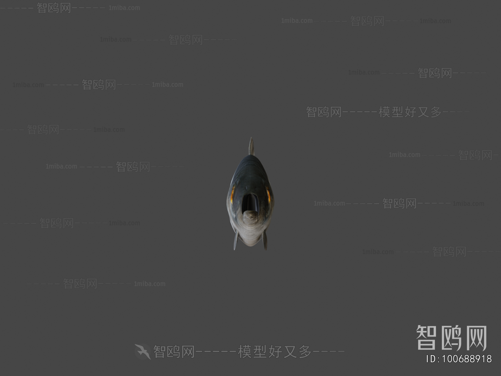 Modern Aquatic Animals