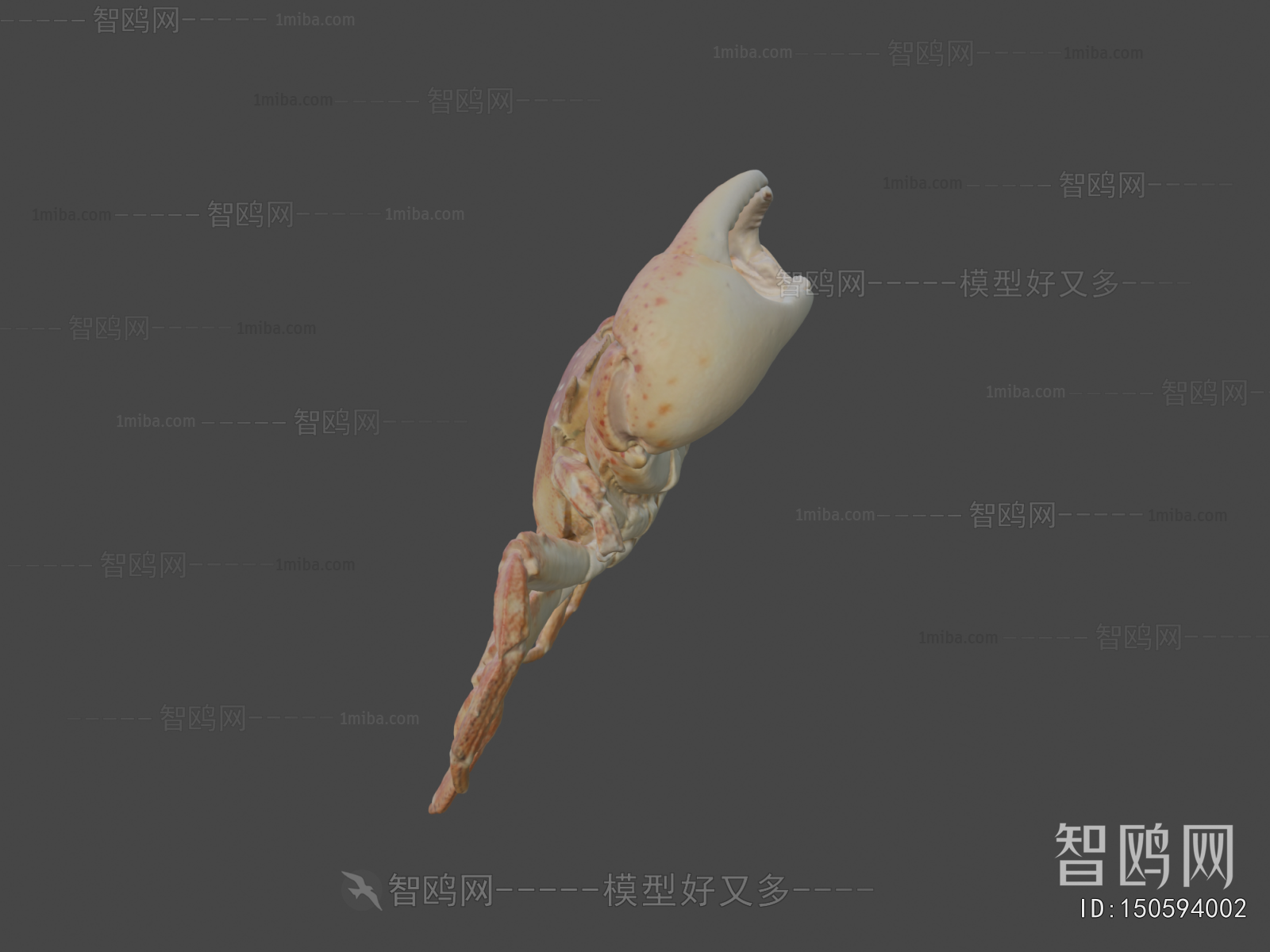 Modern Aquatic Animals