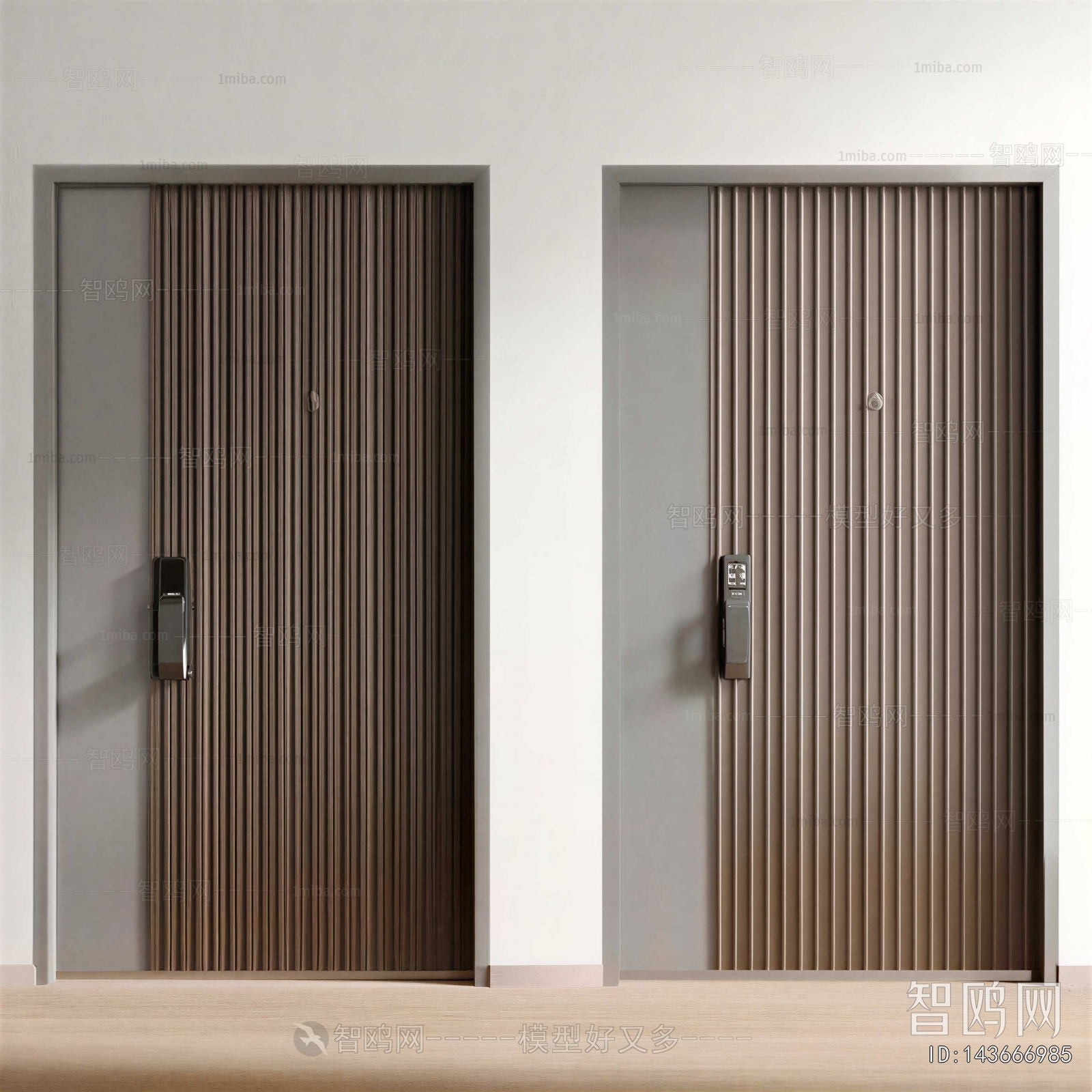 Modern Entrance Door