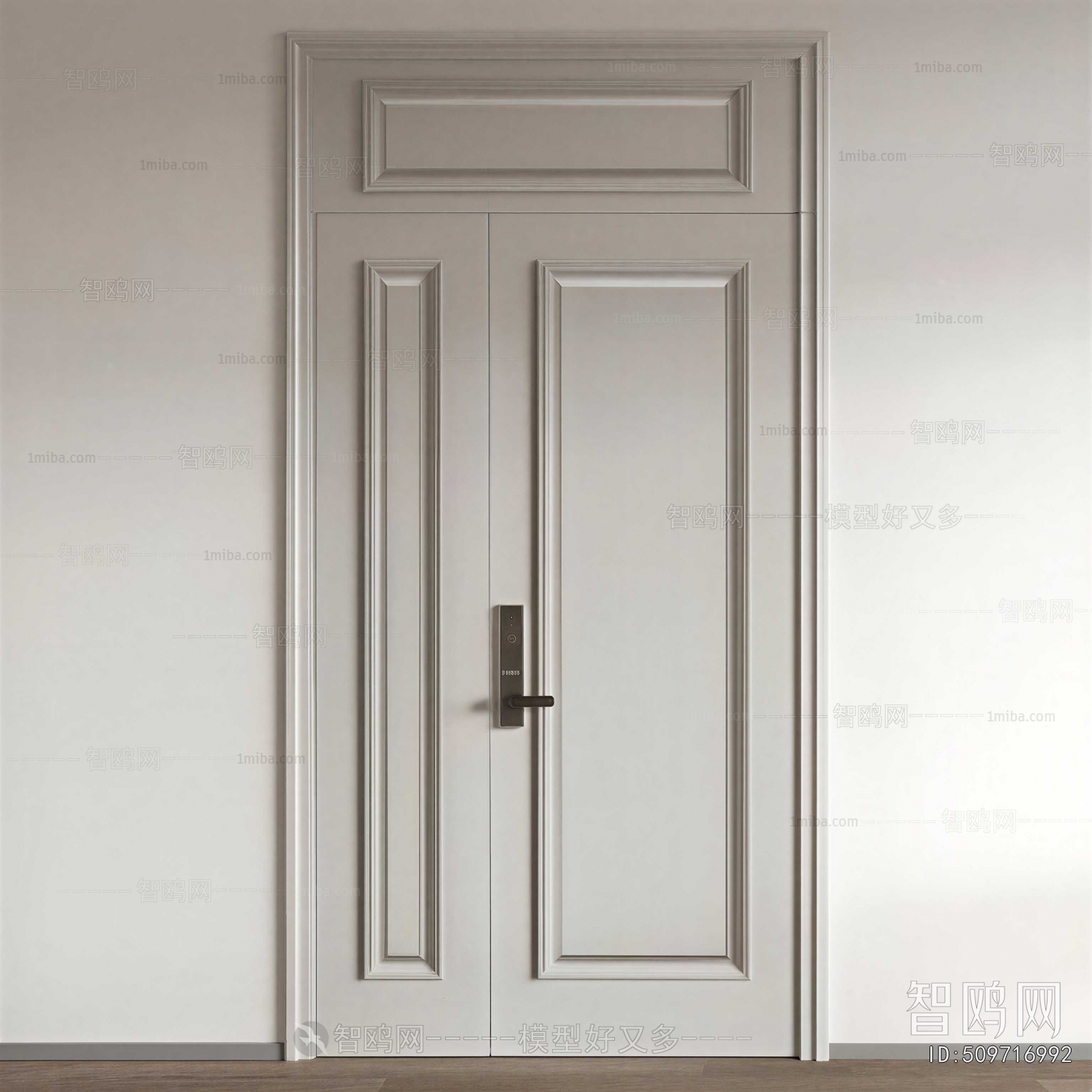 Modern Door