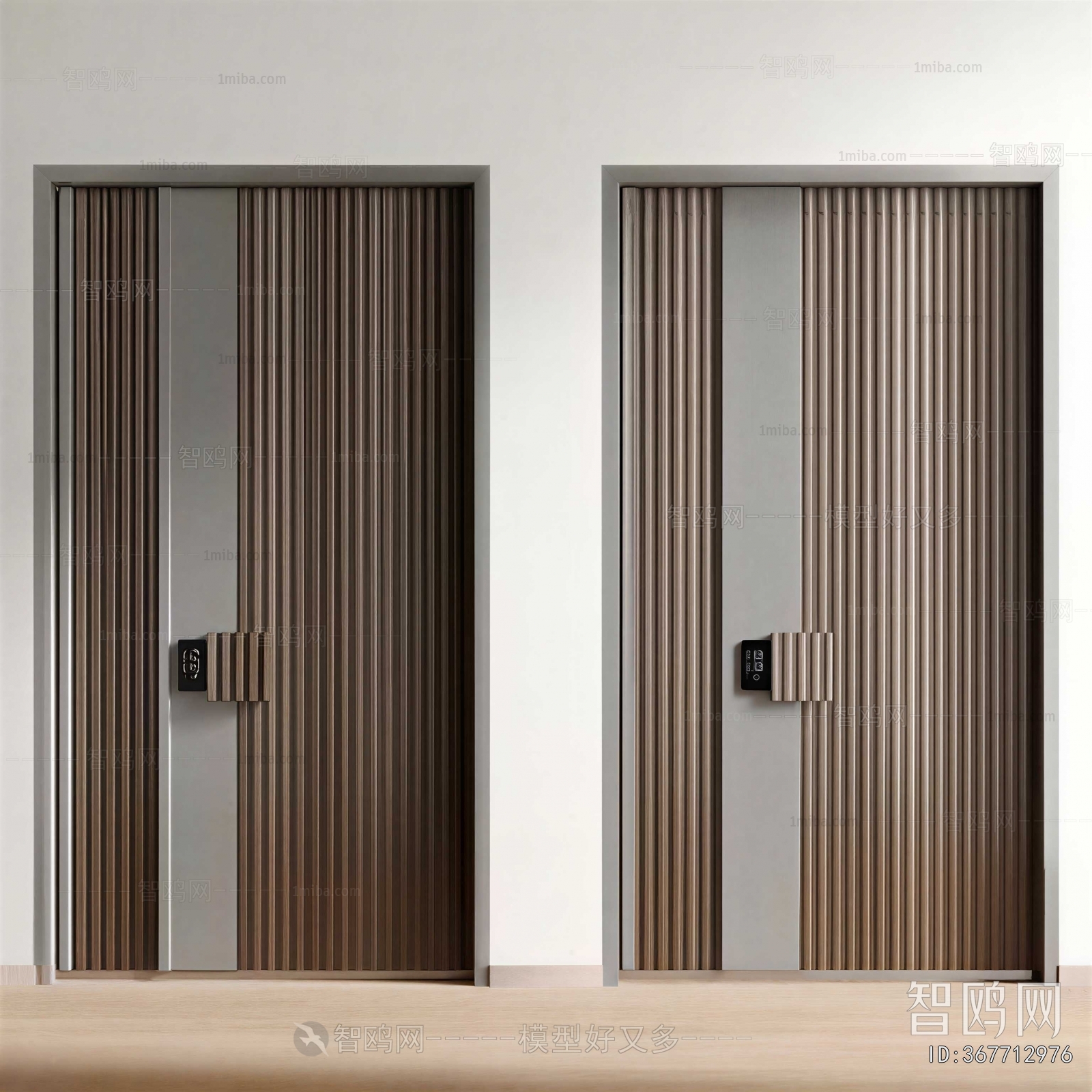 Modern Entrance Door