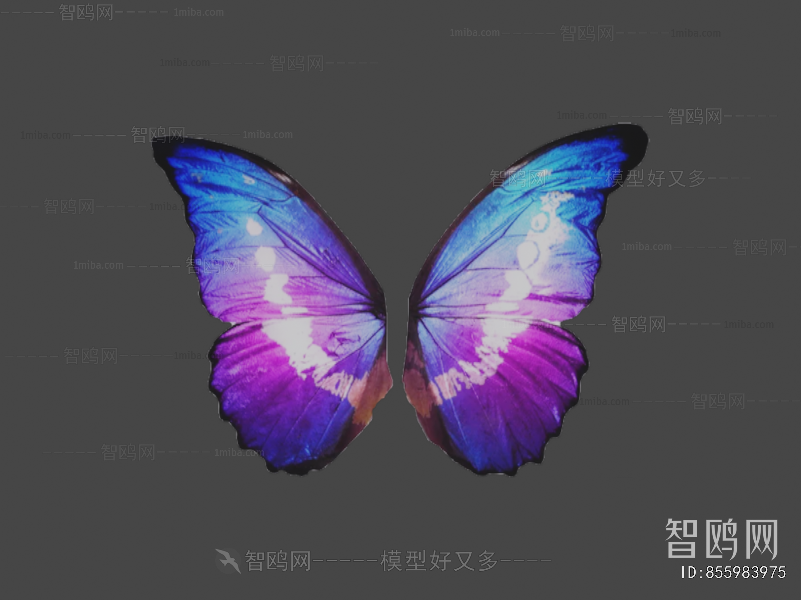 Modern Flying Animals