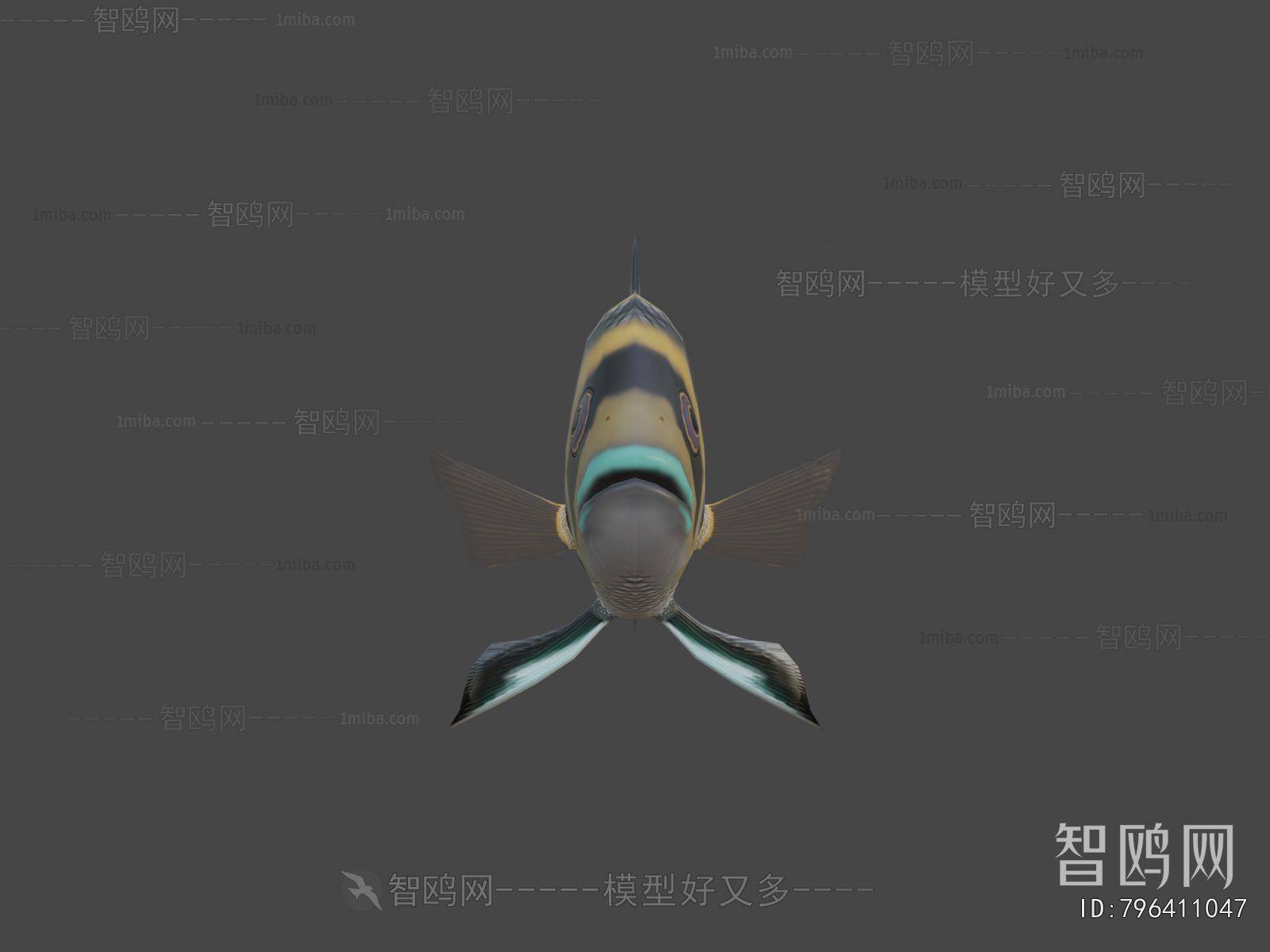 Modern Aquatic Animals