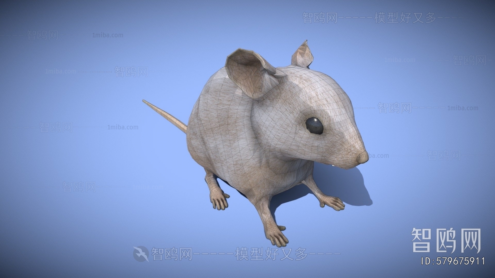 Modern Mammal