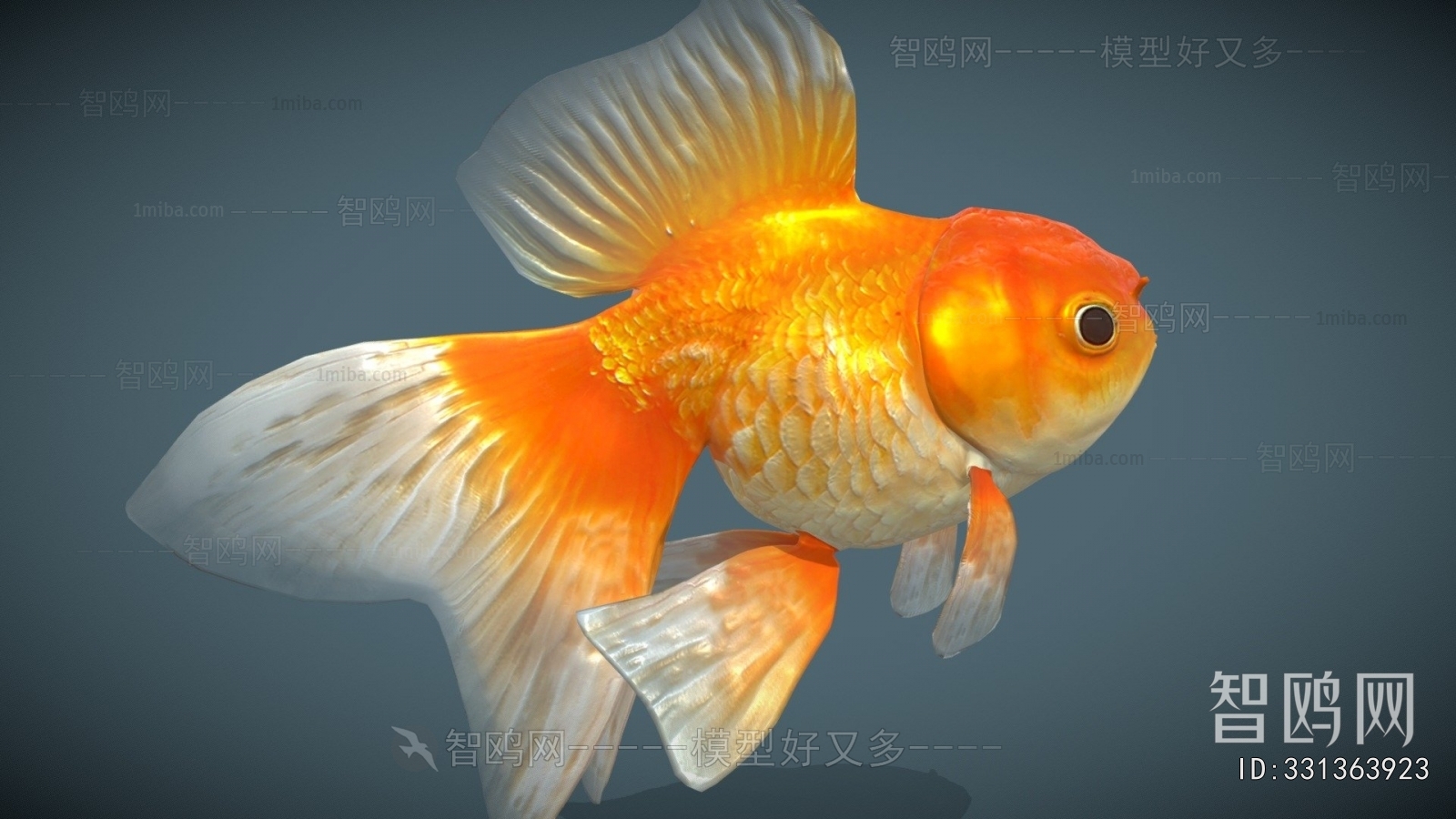 Modern Aquatic Animals