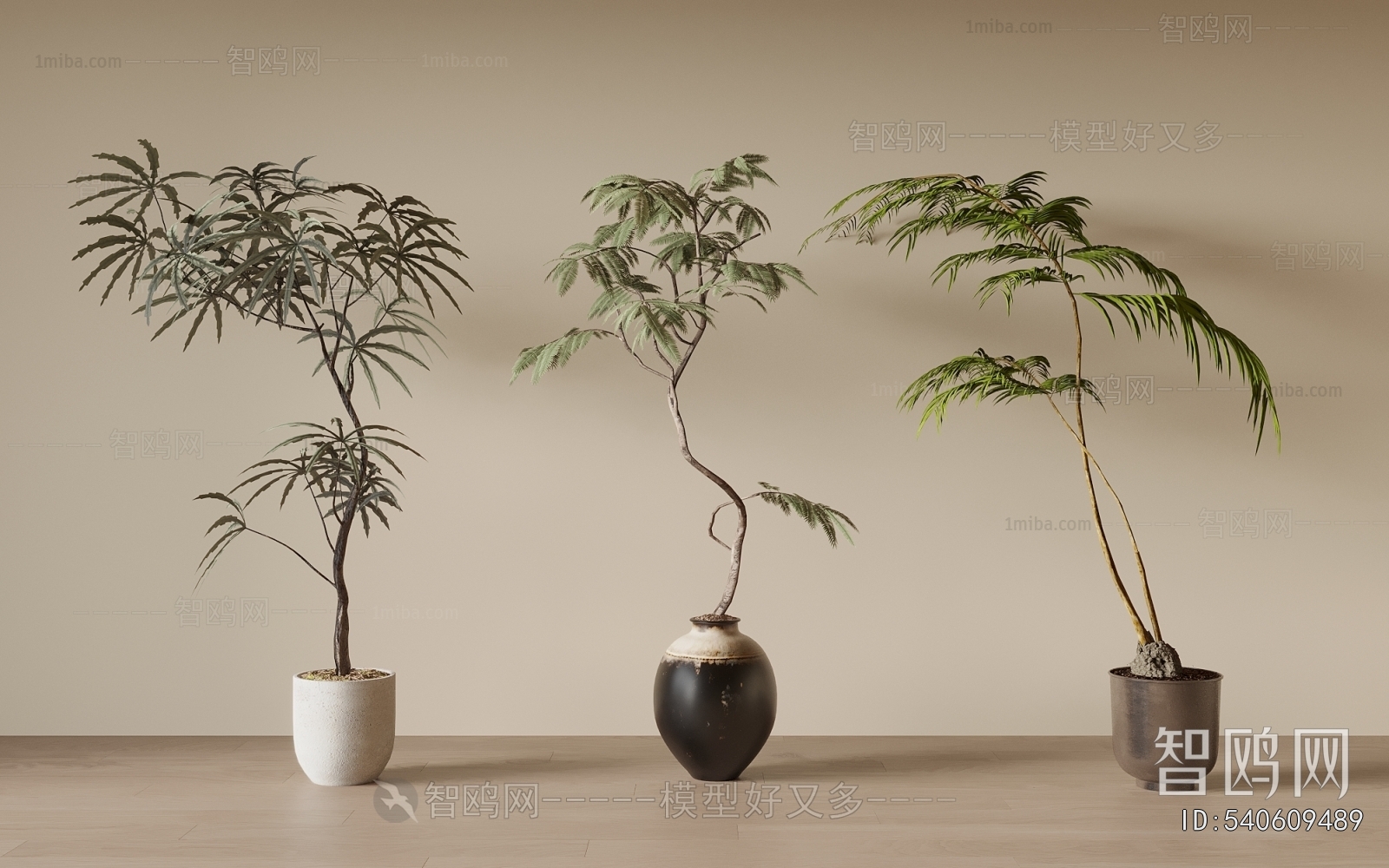 New Chinese Style Ground Green Plant Potted Plants