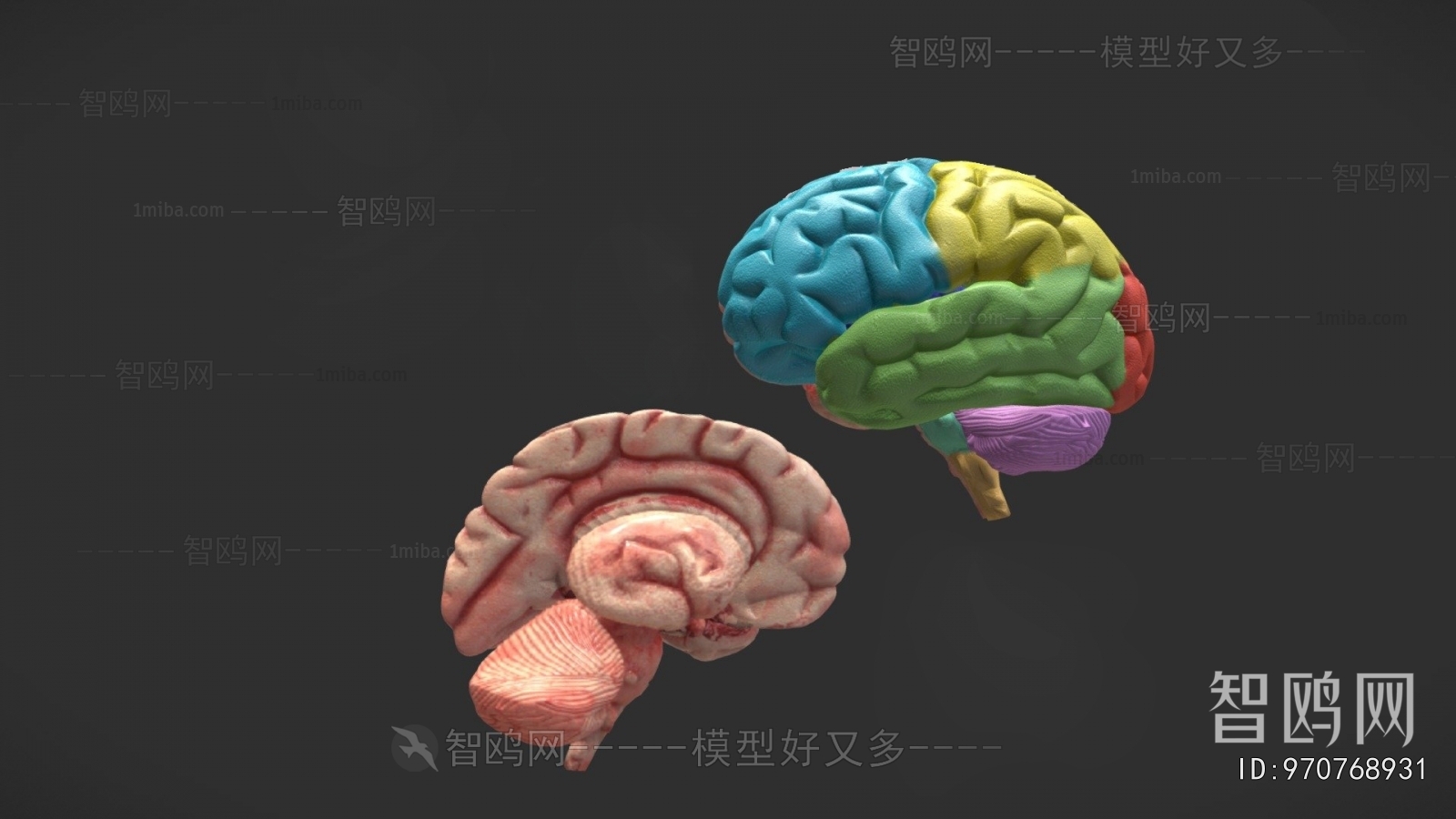 Modern Medical Equipment