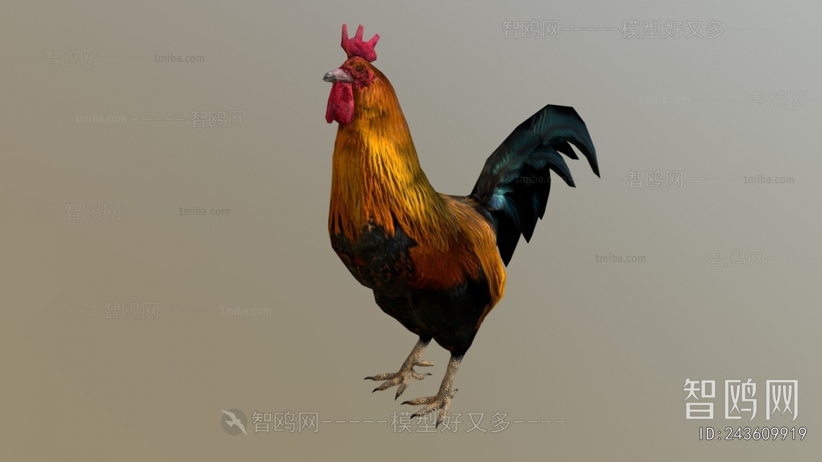 Modern Poultry Animal