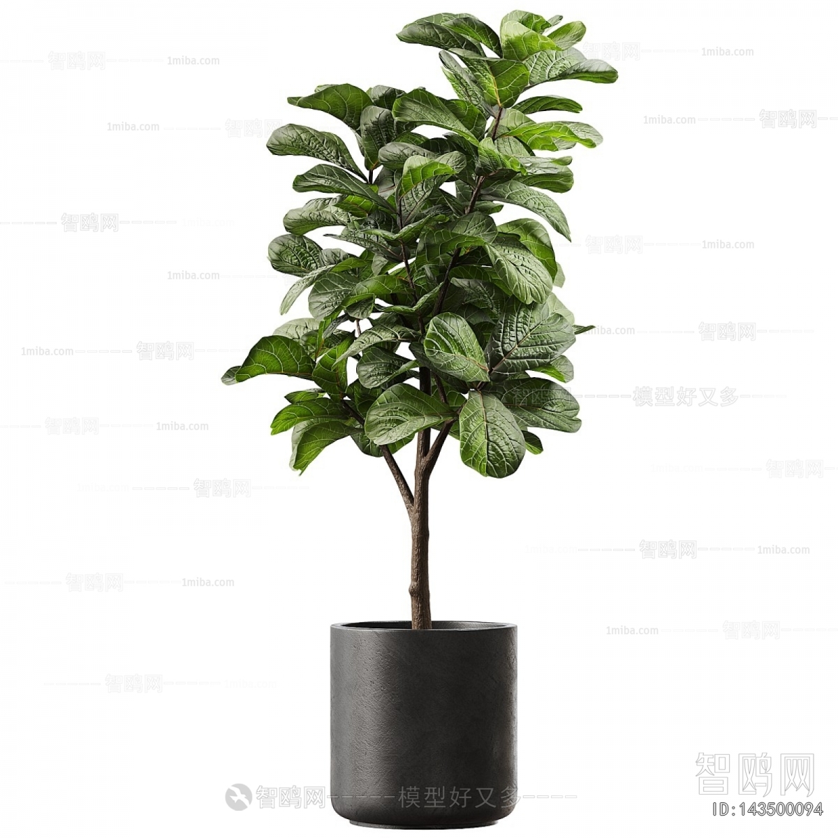 Modern Ground Green Plant Potted Plants