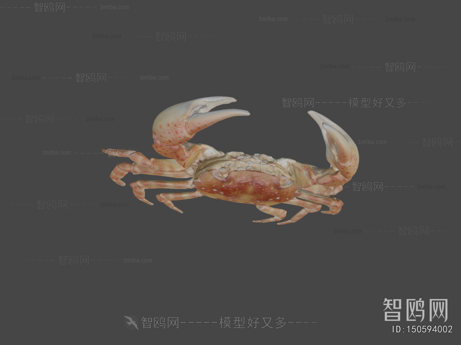 Modern Aquatic Animals