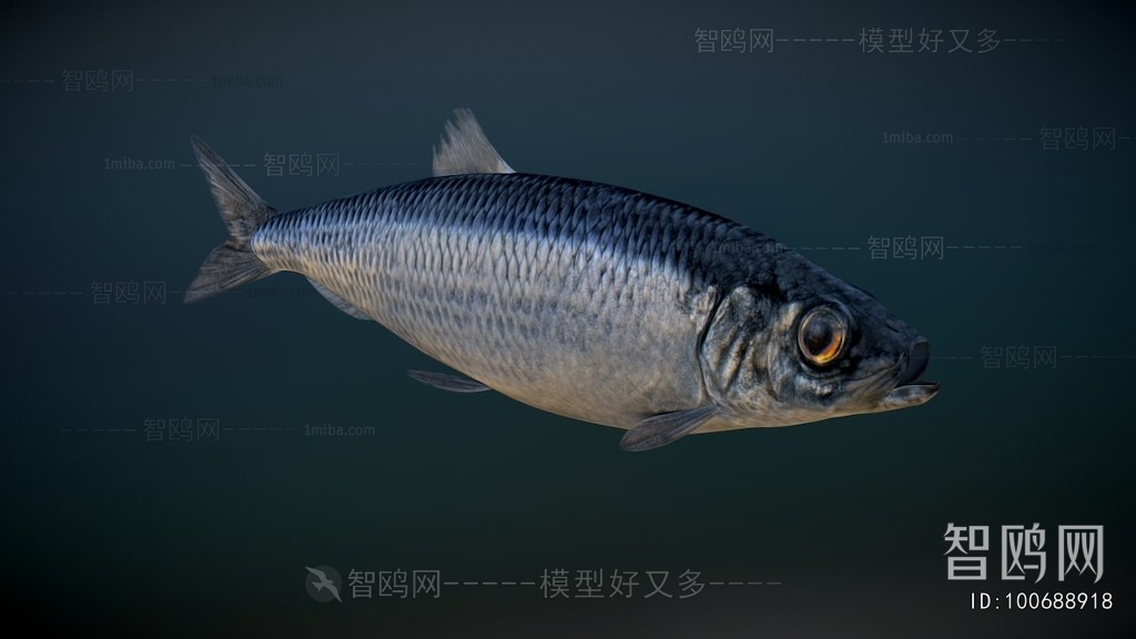 Modern Aquatic Animals