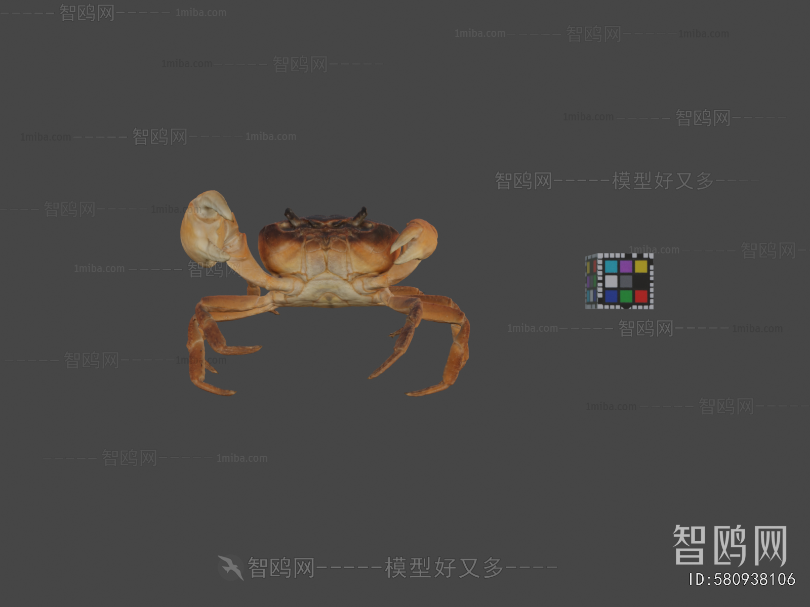 Modern Aquatic Animals