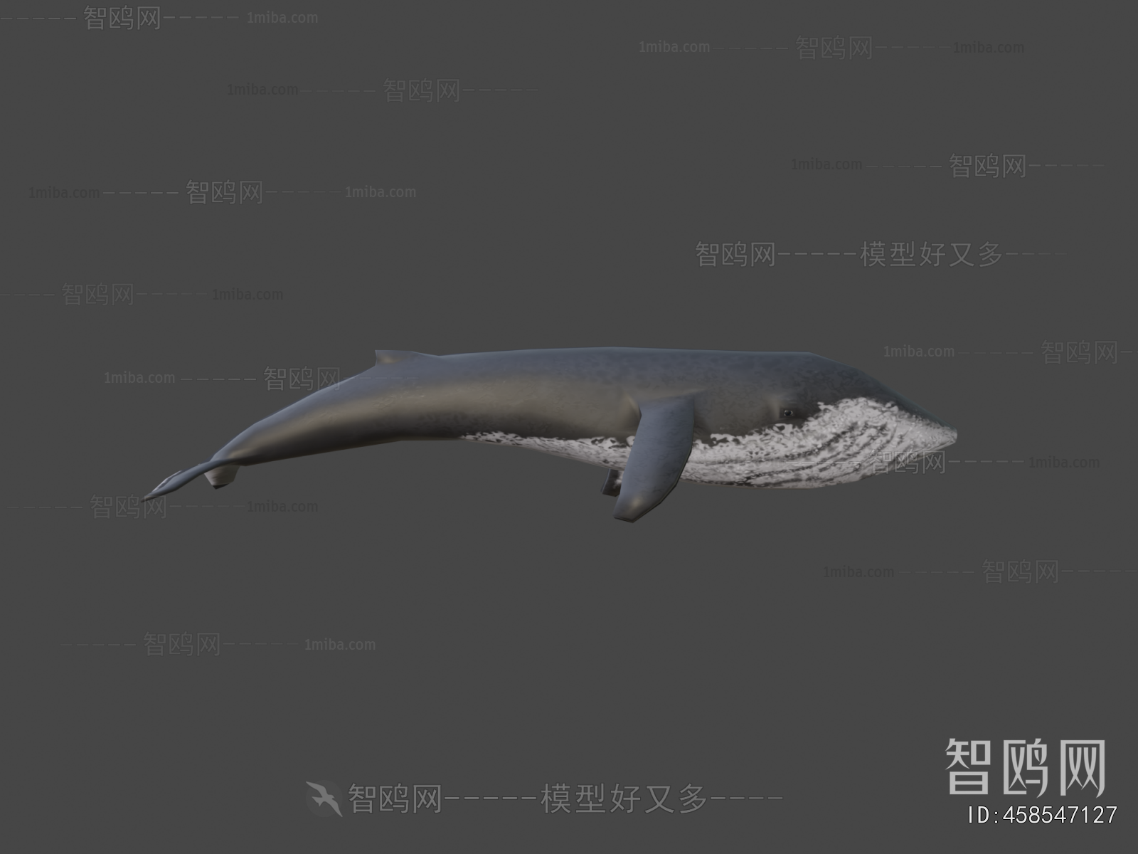 Modern Aquatic Animals