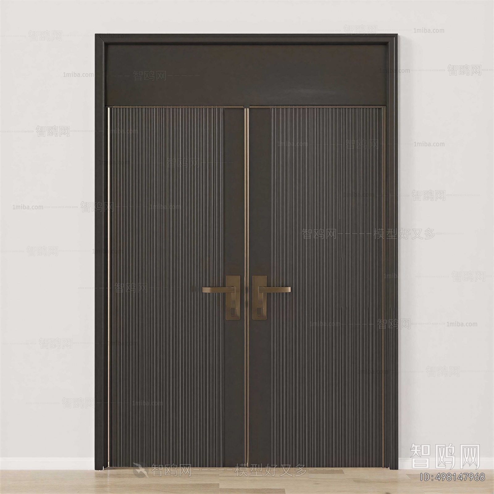 Modern Door