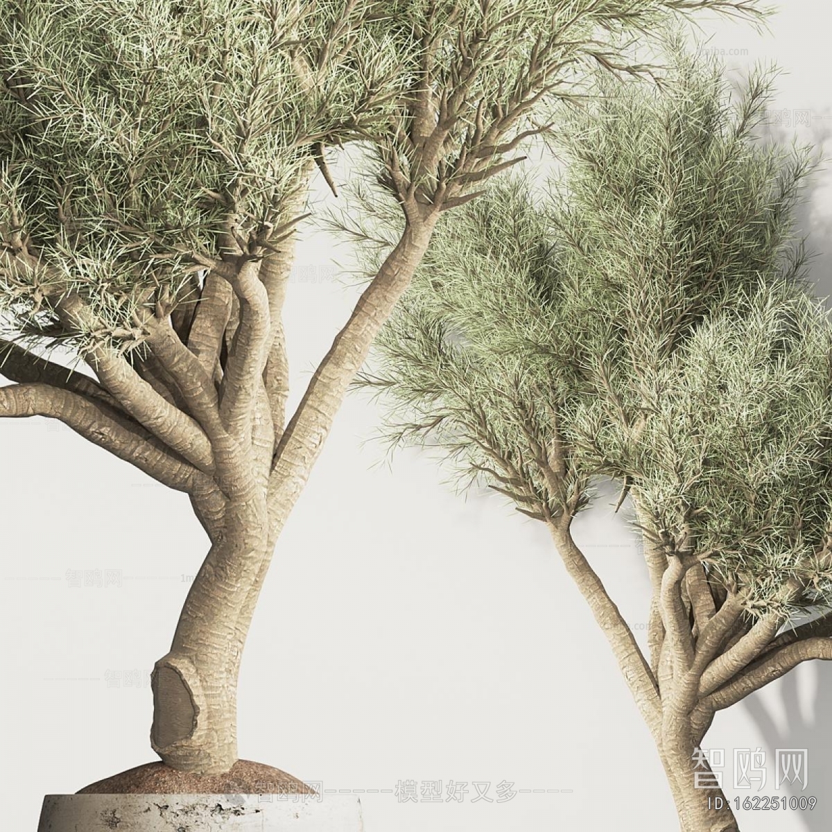 Modern Ground Green Plant Potted Plants